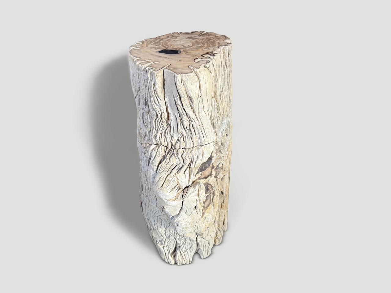 Andrianna Shamaris table d'appoint ou piédestal en bois pétrifié texturé de haute qualité Excellent état - En vente à New York, NY