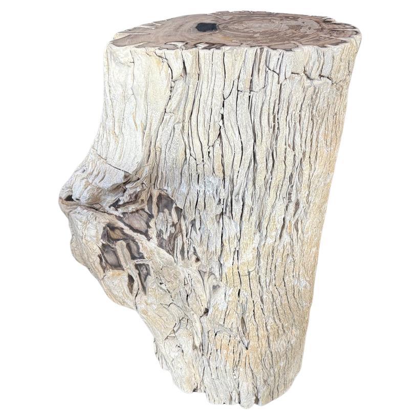 Andrianna Shamaris table d'appoint ou piédestal en bois pétrifié texturé de haute qualité en vente