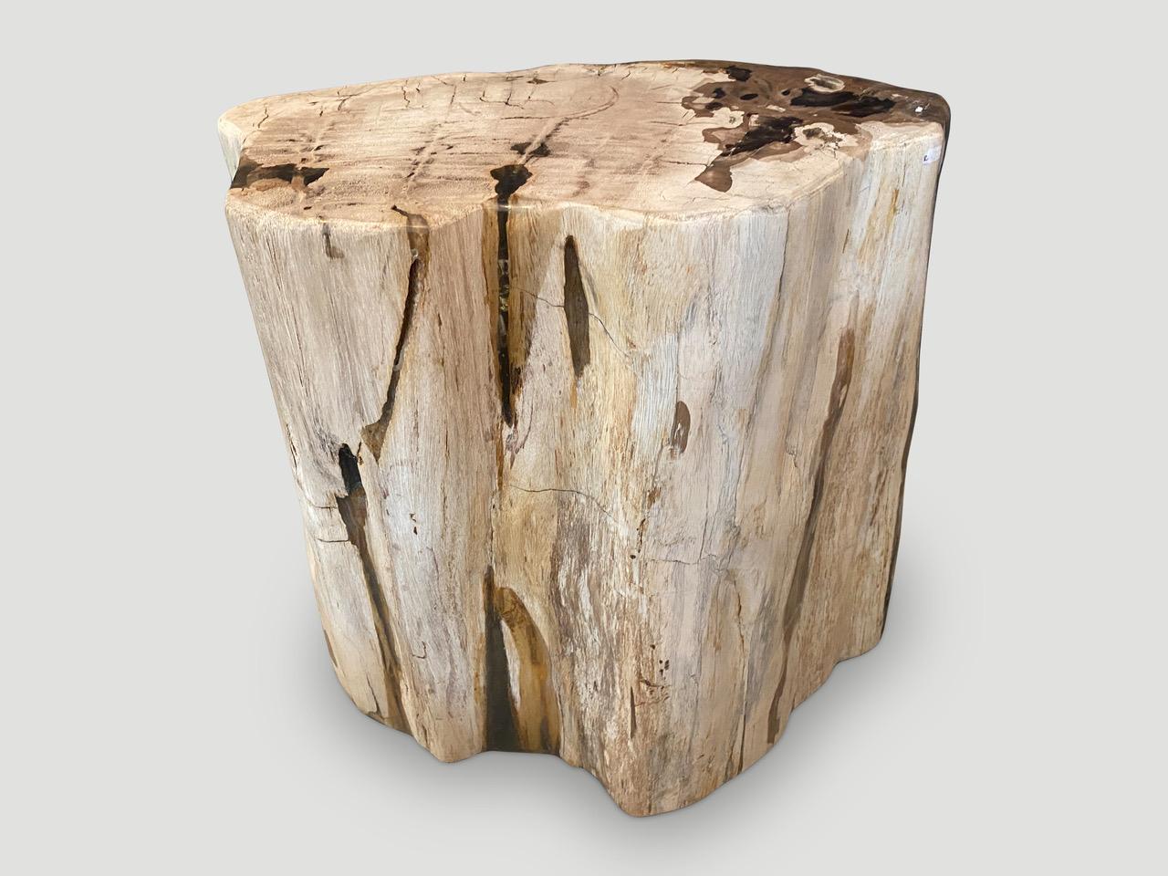 Two tone petrified wood side table with added clear resin as shown in the close up images. We have a pair cut from the same log. The price and images reflect the one shown. It’s fascinating how Mother Nature produces these exquisite 40 million year