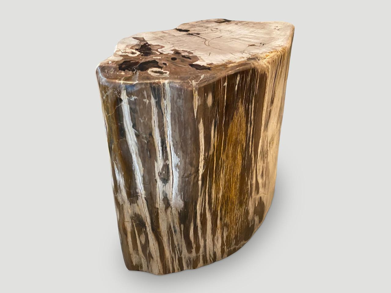 Organic Modern Andrianna Shamaris Two Tone Petrified Wood Side Table For Sale