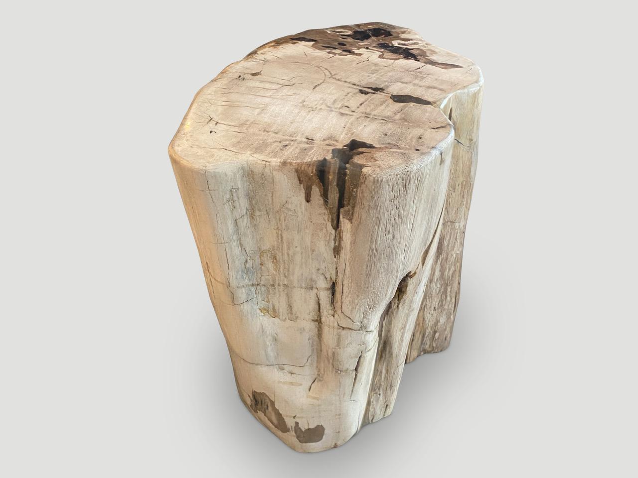 Andrianna Shamaris Two Tone Petrified Wood Side Table In Excellent Condition For Sale In New York, NY