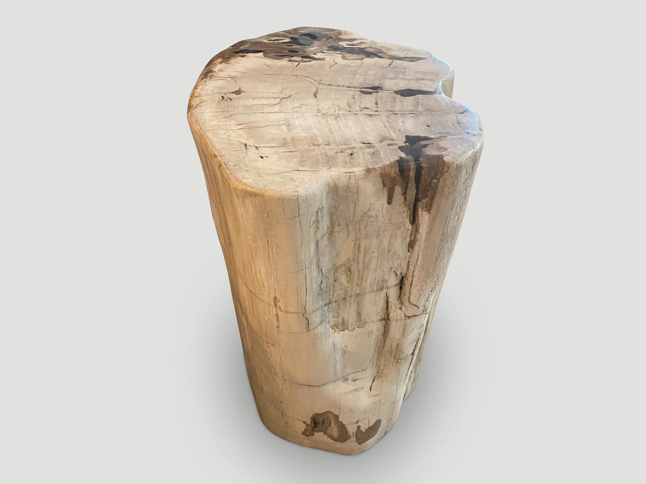 Contemporary Andrianna Shamaris Two Tone Petrified Wood Side Table For Sale