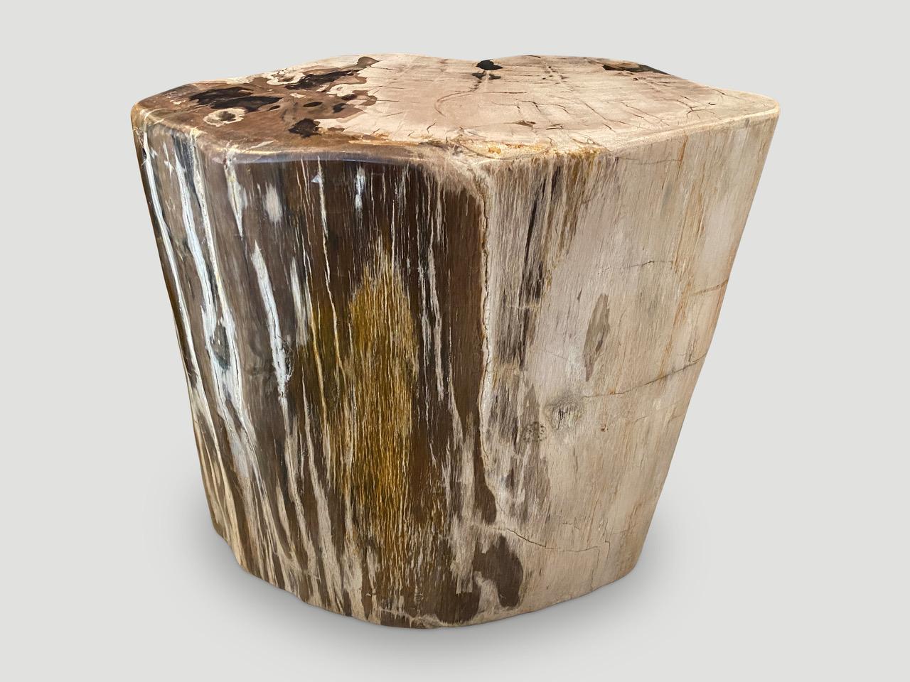 Andrianna Shamaris Two Tone Petrified Wood Side Table For Sale