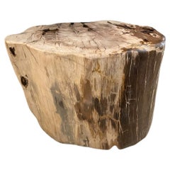 Andrianna Shamaris Two Toned Petrified Wood