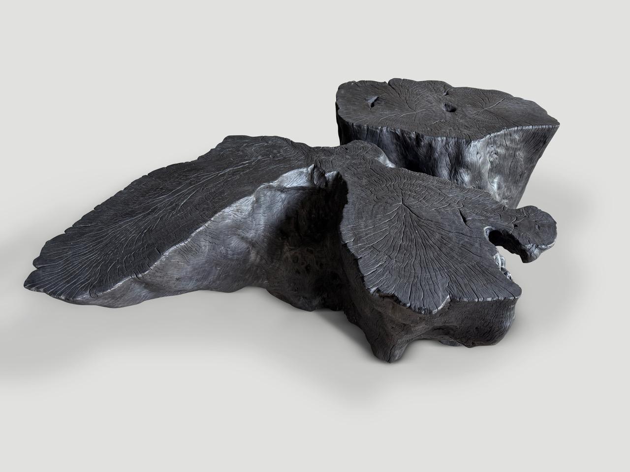 Andrianna Shamaris Einzigartiger Amorpher verkohlter Couchtisch (Holz) im Angebot