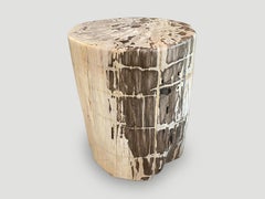 Andrianna Shamaris Unique High Quality Petrified Wood Side Table