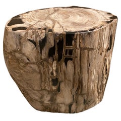 Antique Andrianna Shamaris Unique High Quality Petrified Wood Side Table