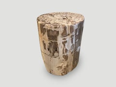 Andrianna Shamaris Unique High Quality Petrified Wood Side Table