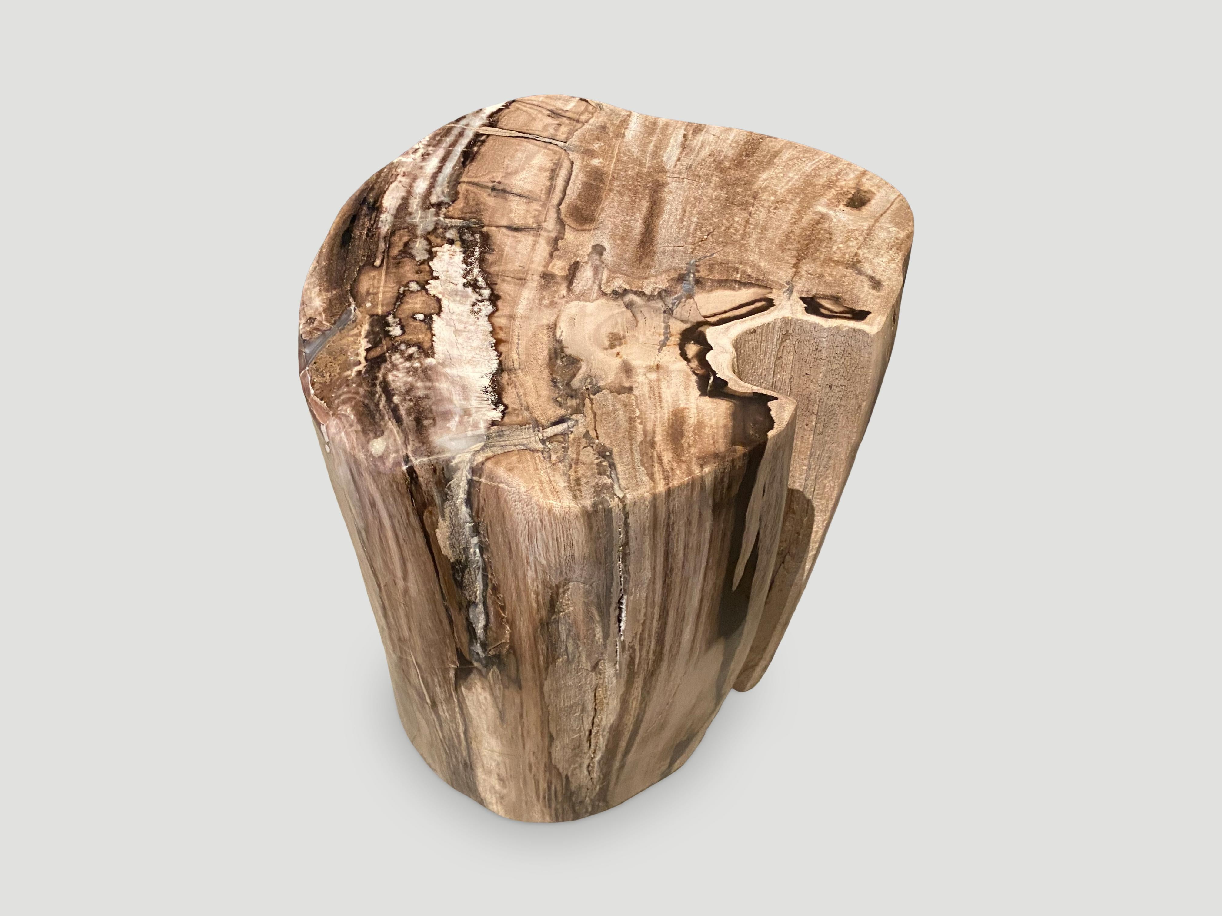 Stunning rare tones with beautiful markings in this petrified wood side table. It’s fascinating how Mother Nature produces these exquisite 40 million year old petrified teak logs with such contrasting colors and natural patterns throughout. Modern