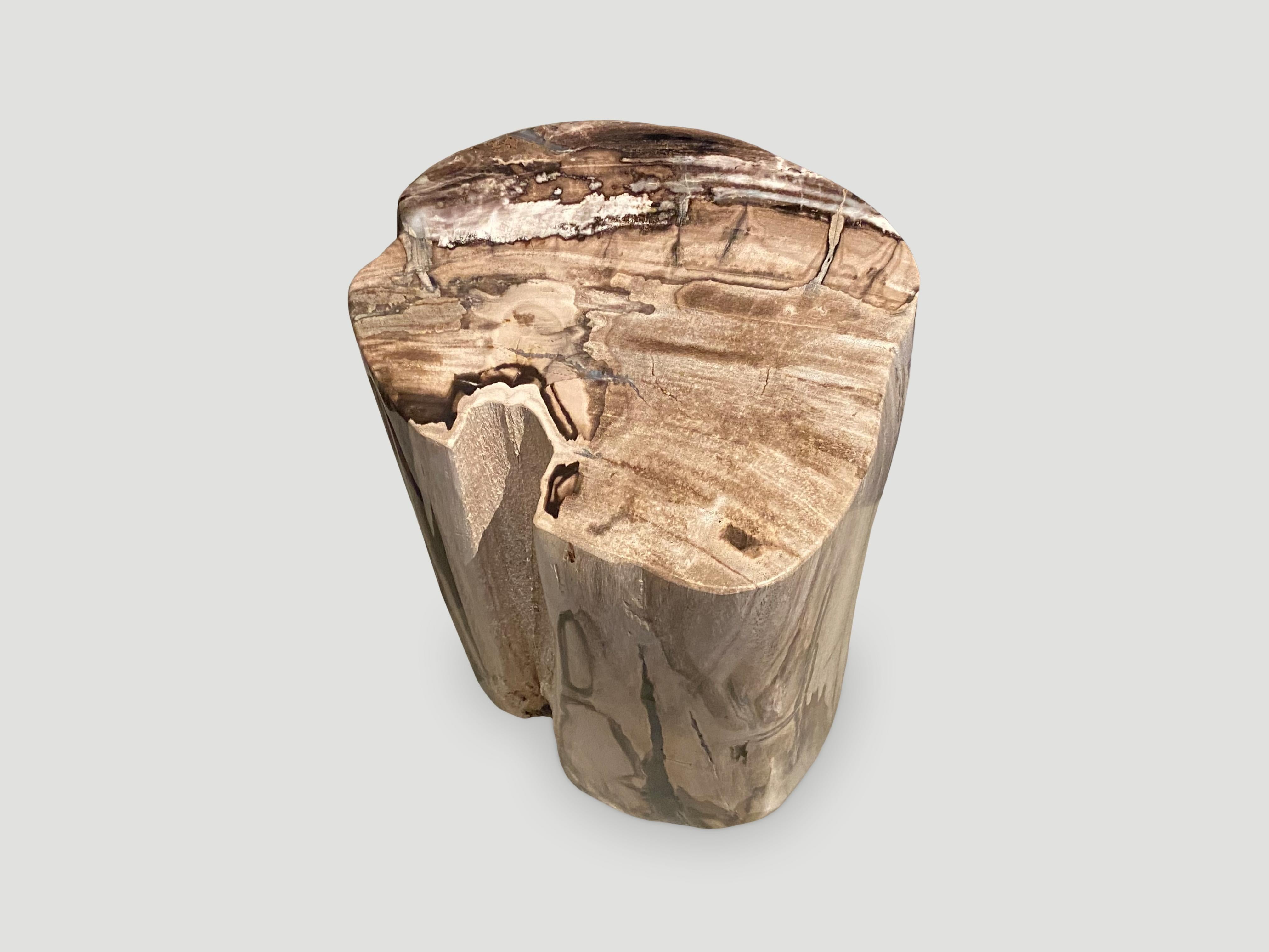 Andrianna Shamaris Unique High Quality Rare Petrified Wood Side Table In Excellent Condition In New York, NY