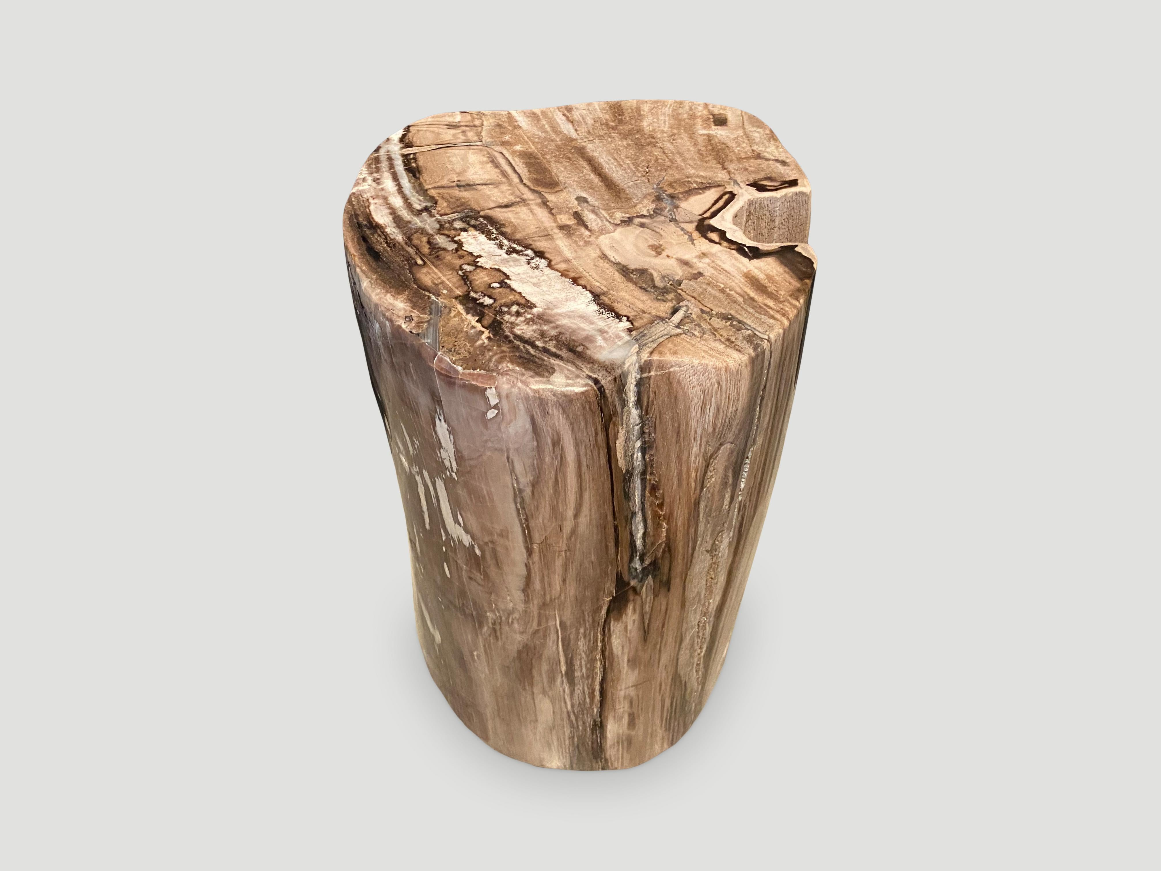 Andrianna Shamaris Unique High Quality Rare Petrified Wood Side Table 1