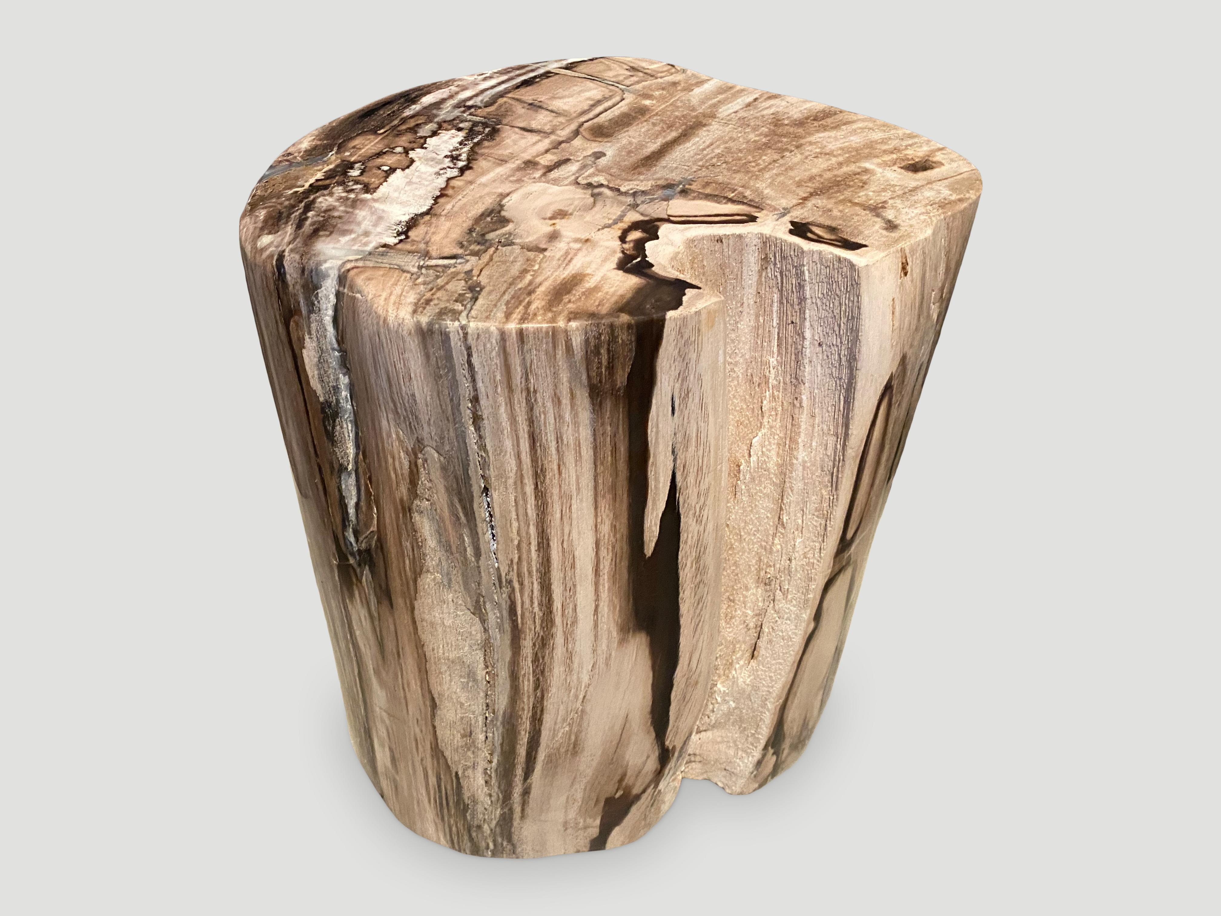 Andrianna Shamaris Unique High Quality Rare Petrified Wood Side Table 2