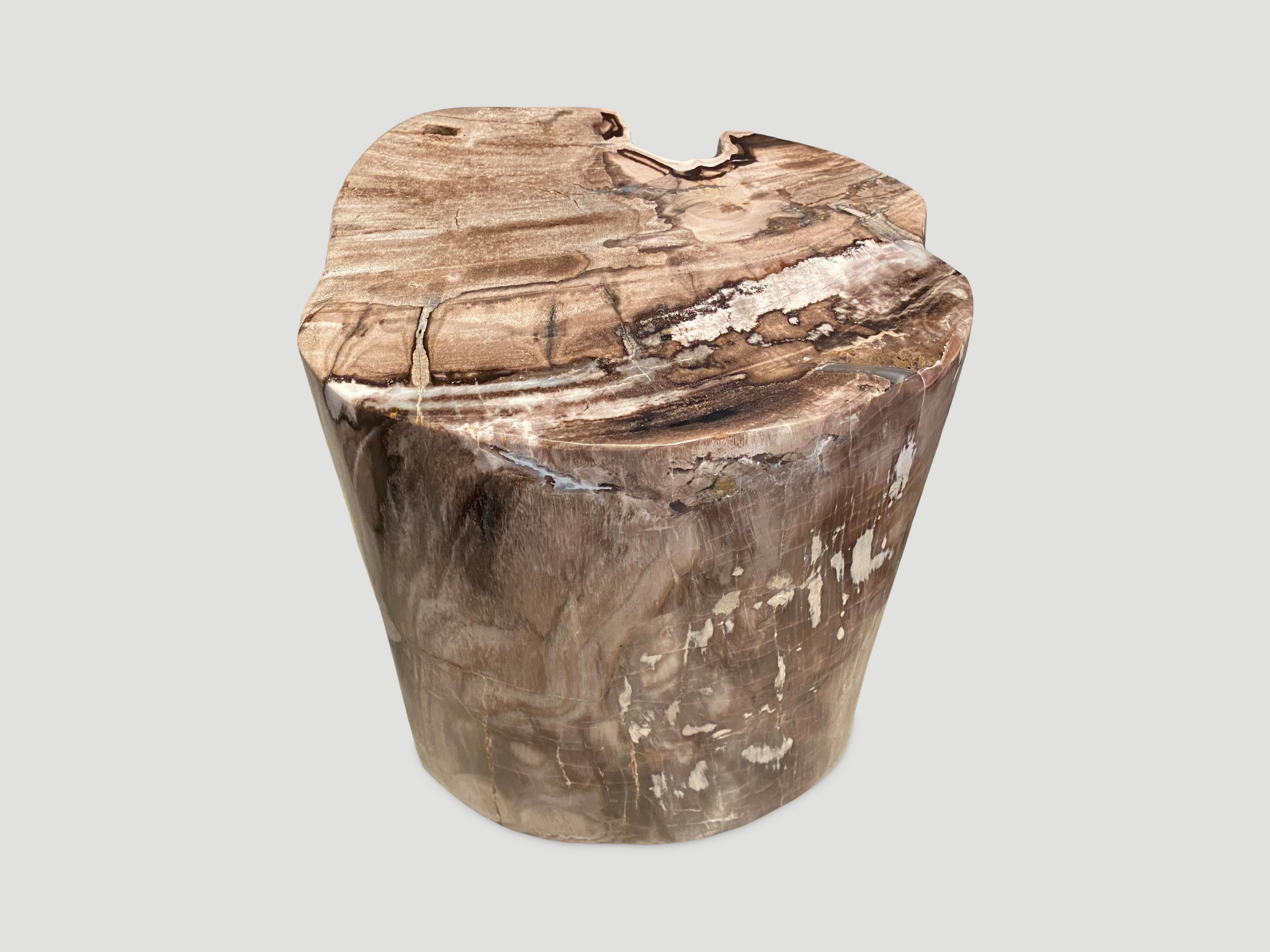 Andrianna Shamaris Unique High Quality Rare Petrified Wood Side Table 3