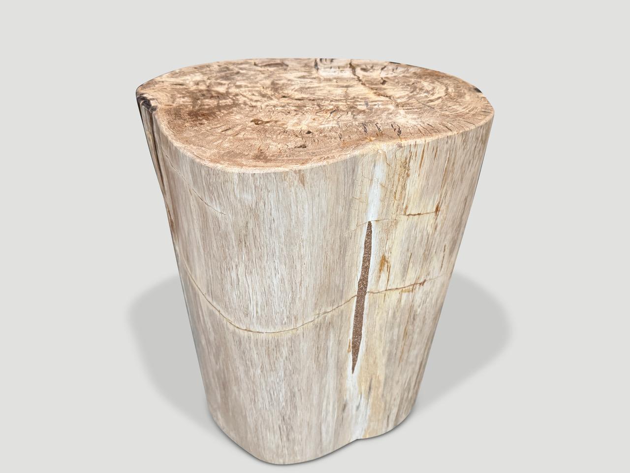 Cette table d'appoint en bois pétrifié de haute qualité présente des tons et des marques contrastés impressionnants. Il est fascinant de voir comment Mère Nature produit ces stupéfiants troncs de teck pétrifiés vieux de 40 millions d'années, aux