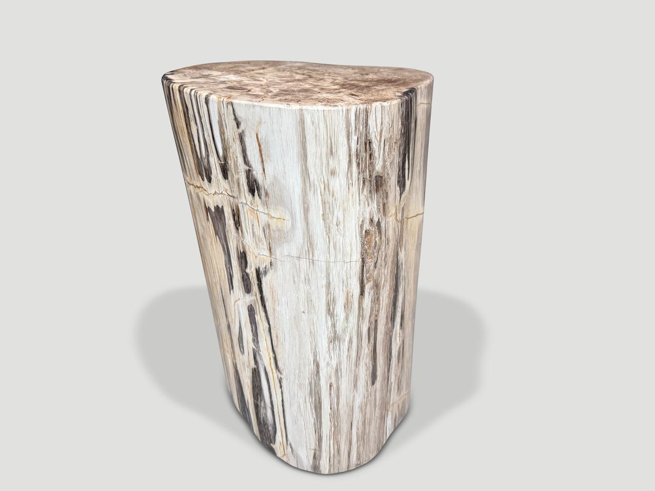 Organique Andrianna Shamaris Table d'appoint unique en bois pétrifié en vente