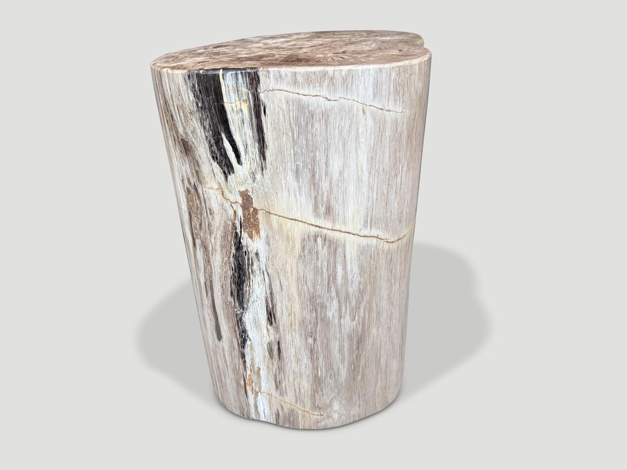 Andrianna Shamaris Table d'appoint unique en bois pétrifié Excellent état - En vente à New York, NY