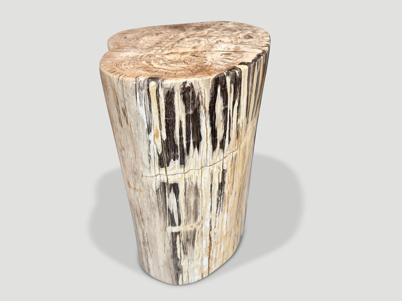 XXIe siècle et contemporain Andrianna Shamaris Table d'appoint unique en bois pétrifié en vente