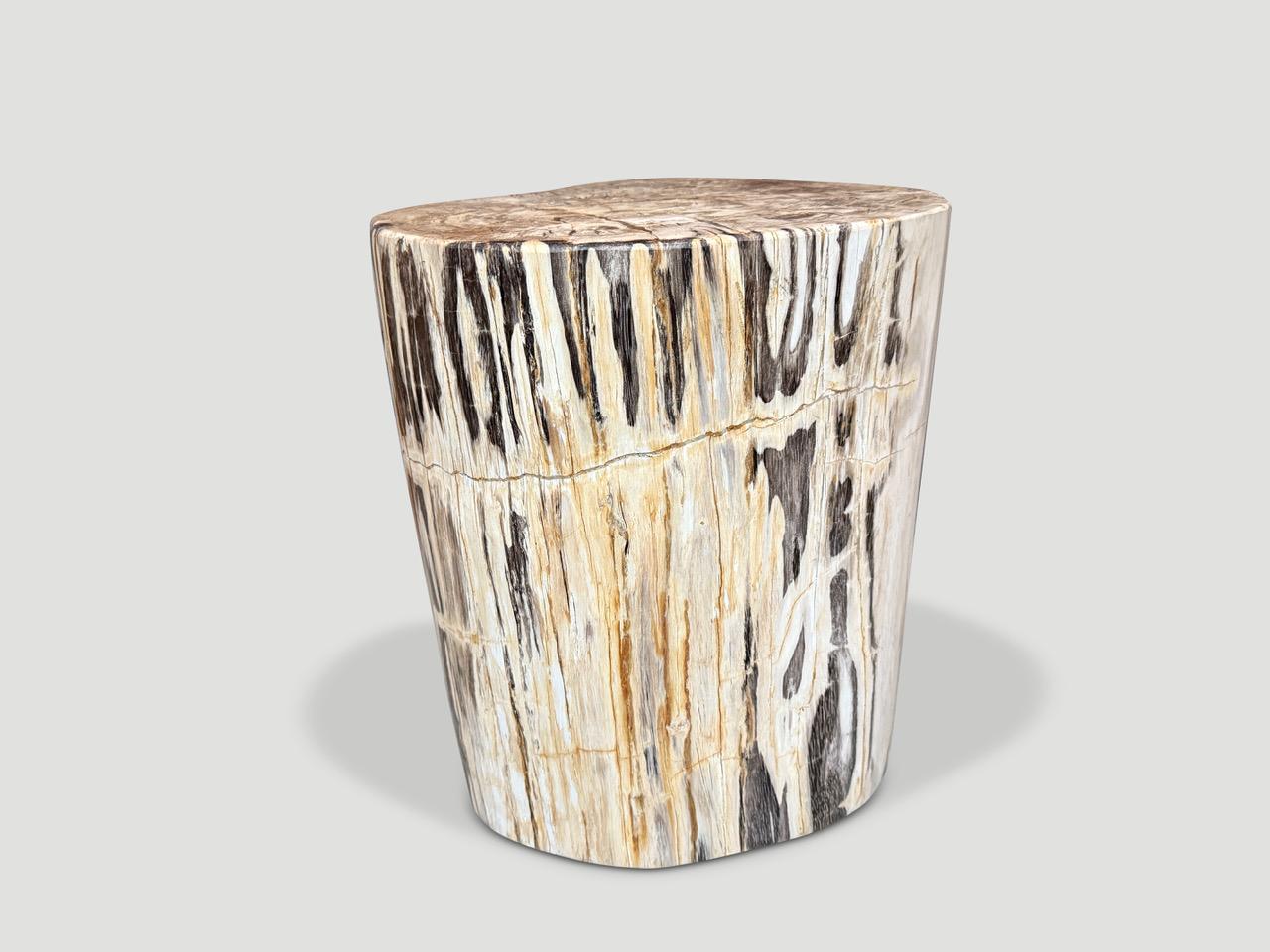 Andrianna Shamaris Unique Petrified Wood Side Table
