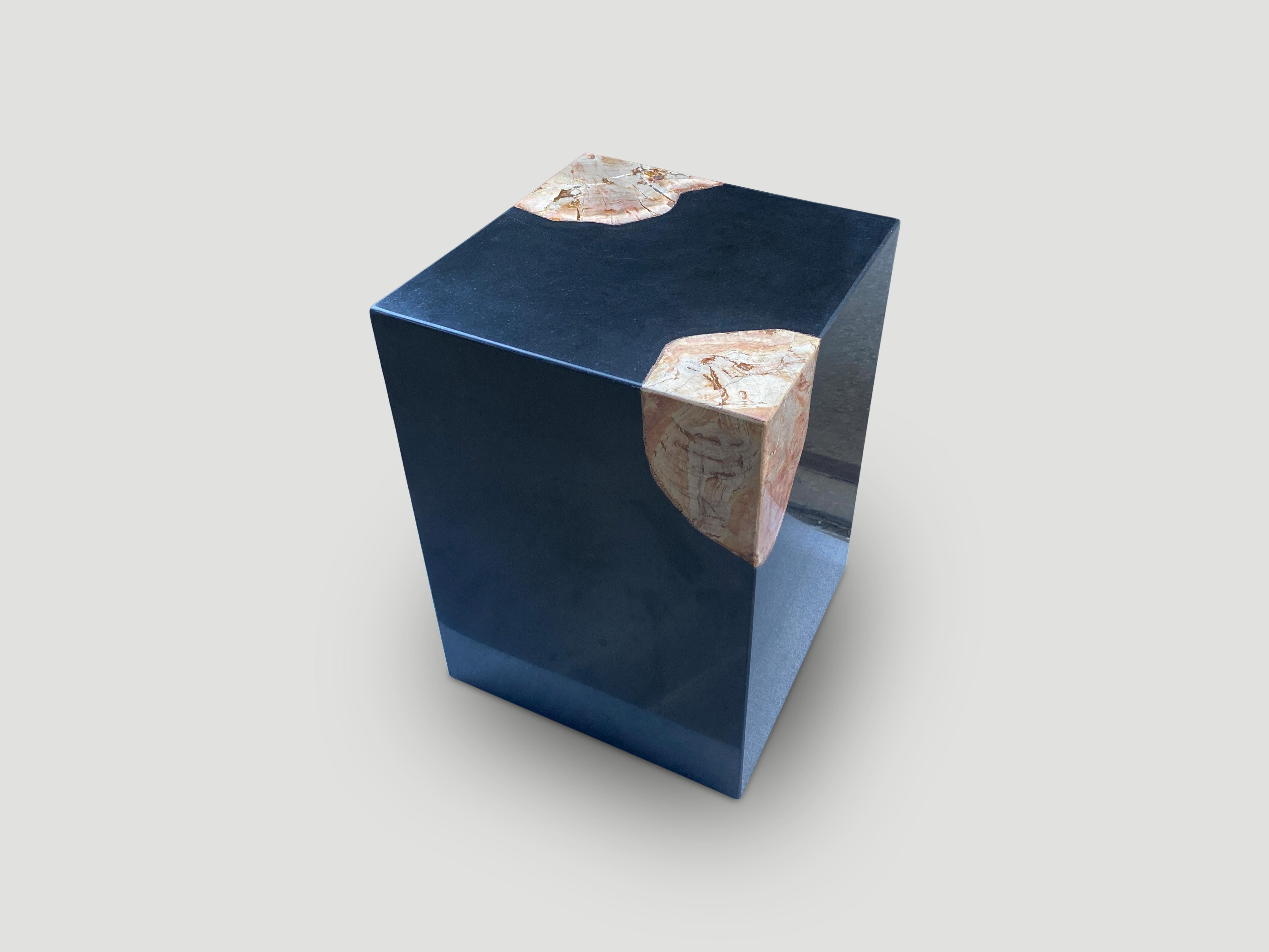 Contemporary Andrianna Shamaris Volcanic Stone and Petrified Wood Side Table