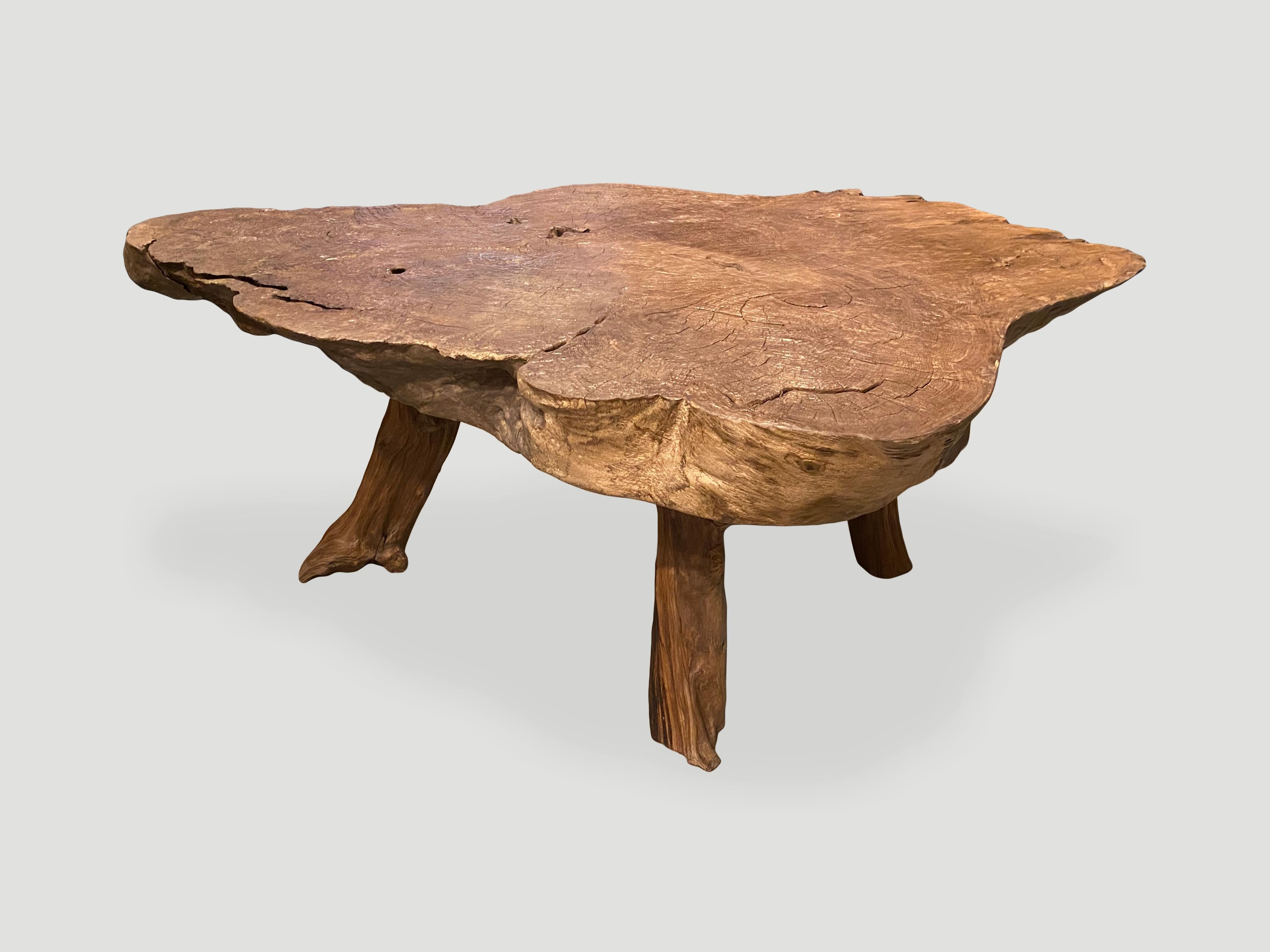 Andrianna Shamaris Wabi Sabi Live Edge Teak Wood Coffee Table In Excellent Condition In New York, NY