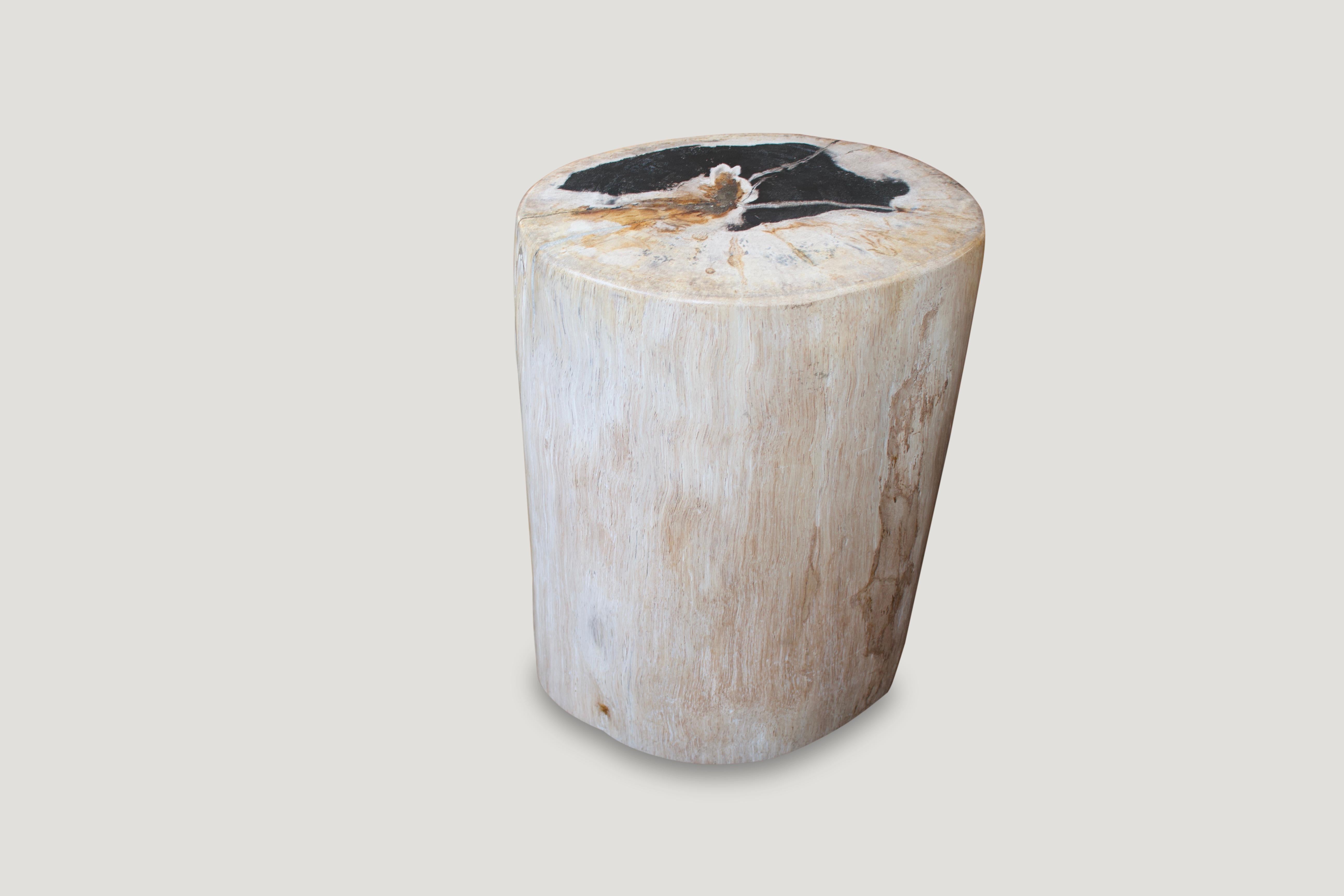 Organic Modern Andrianna Shamaris White and Black Super Smooth Petrified Wood Side Table