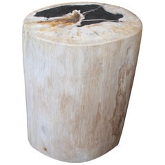 Andrianna Shamaris White and Black Super Smooth Petrified Wood Side Table
