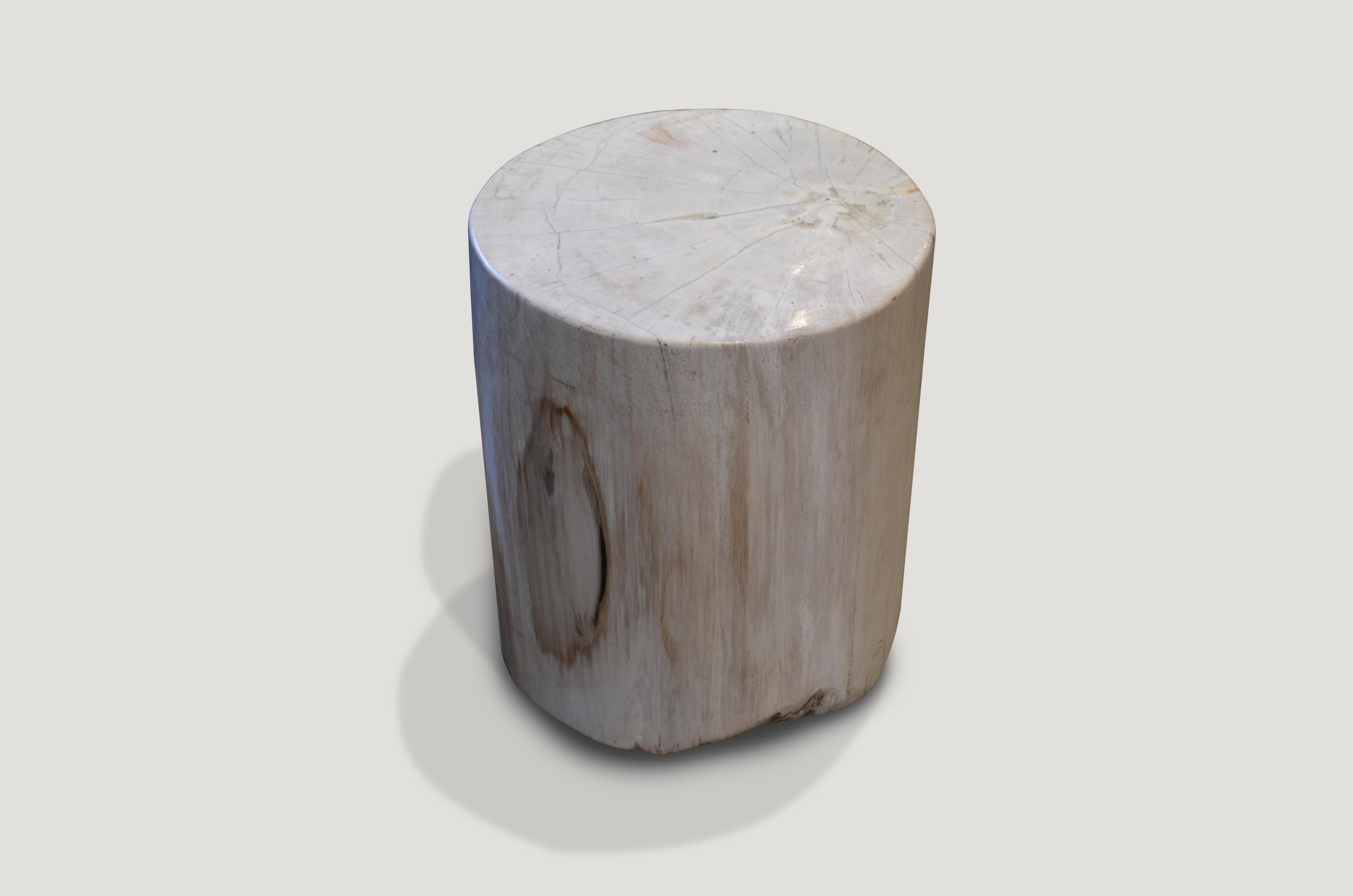 Beautiful white super smooth petrified wood side table.

We source the highest quality petrified wood available. Each piece is hand-selected and highly polished with minimal cracks. Petrified wood is extremely versatile – even great inside a