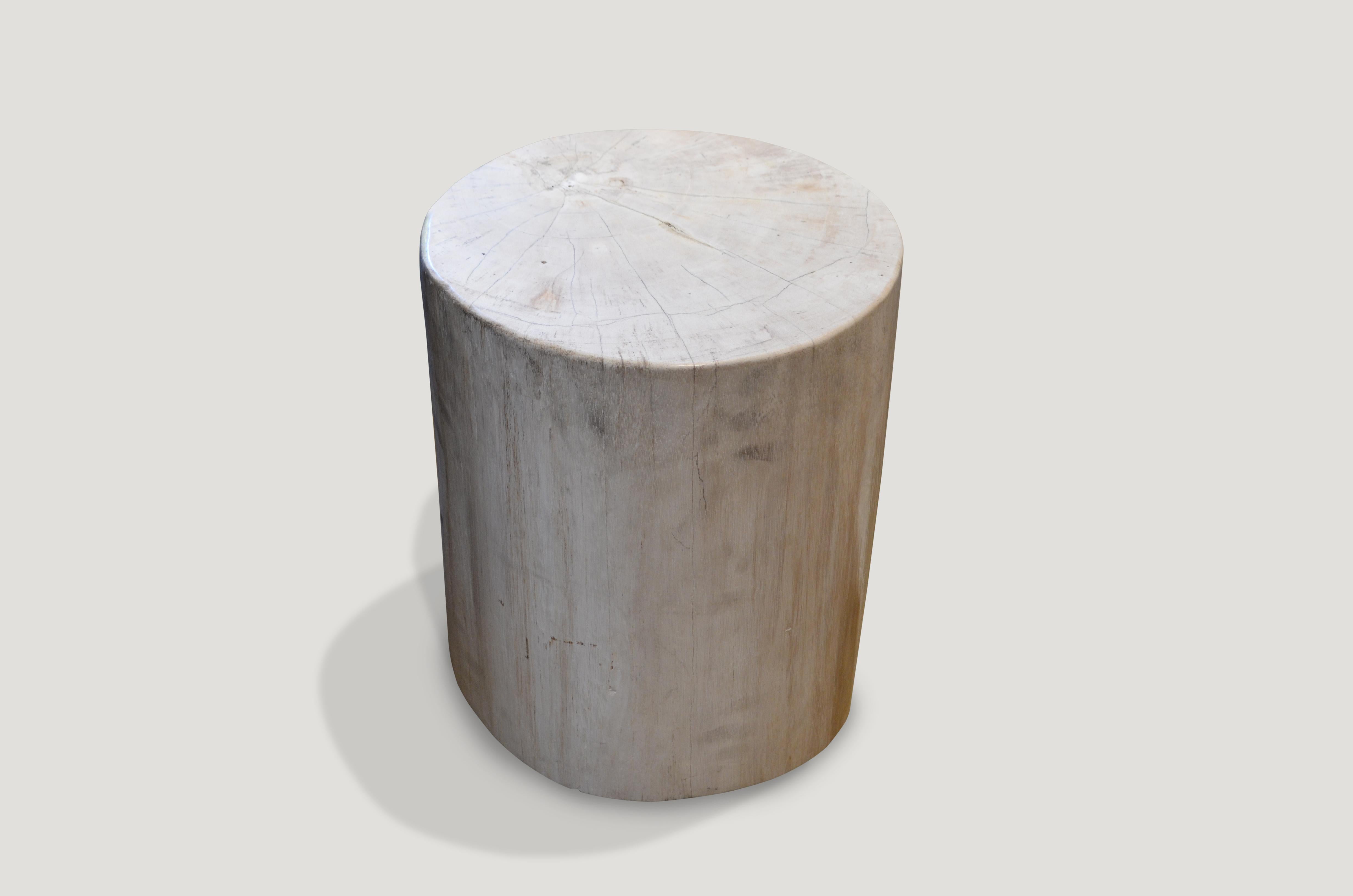 Organic Modern Andrianna Shamaris White Petrified Wood Side Table