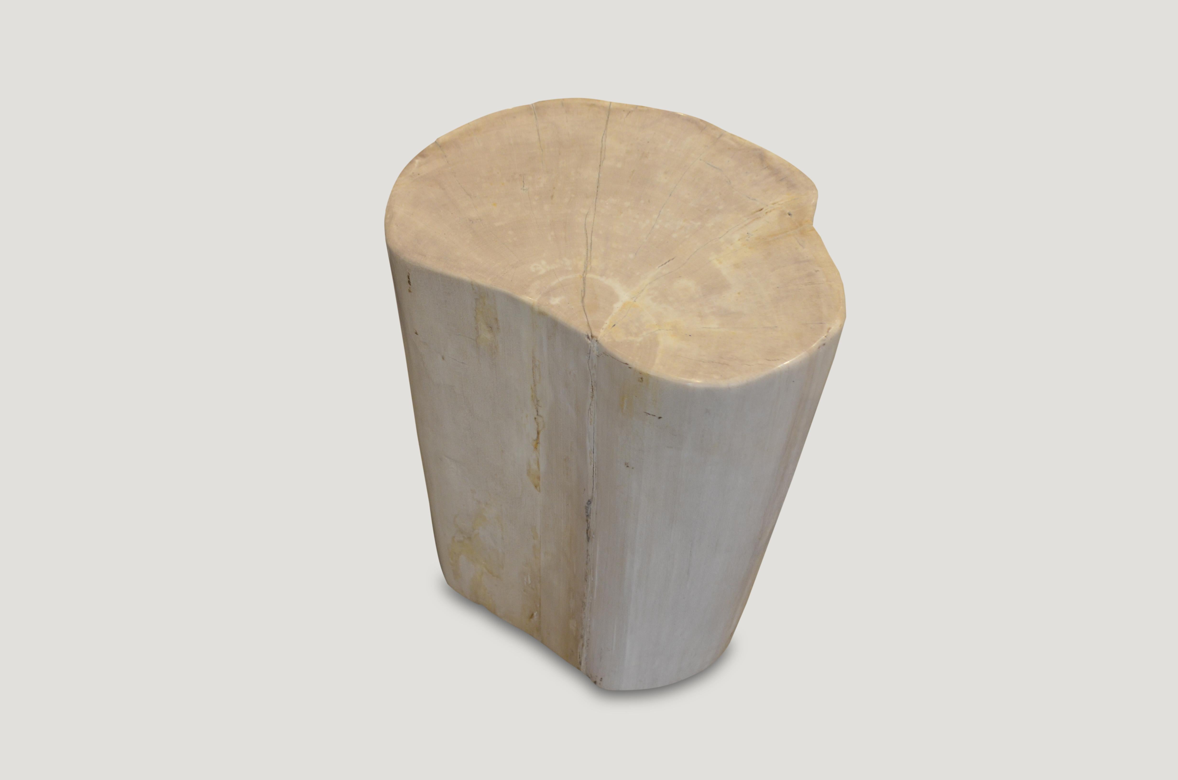 White and cream natural tones on this super smooth petrified wood side table or stool.

We source the highest quality petrified wood available. Each piece is hand-selected and highly polished with minimal cracks. Petrified wood is extremely