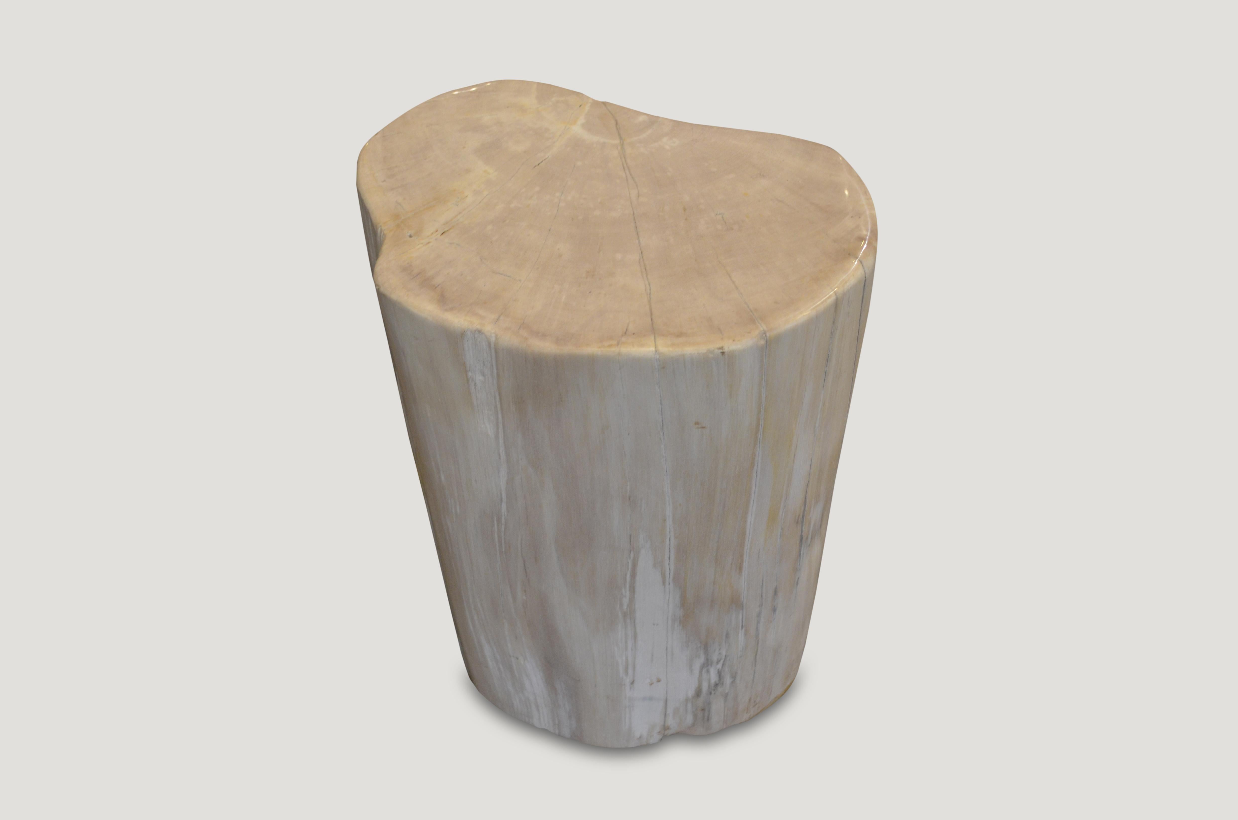 Andrianna Shamaris White Petrified Wood Side Table or Stool In Excellent Condition In New York, NY