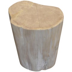 Antique Andrianna Shamaris White Petrified Wood Side Table or Stool