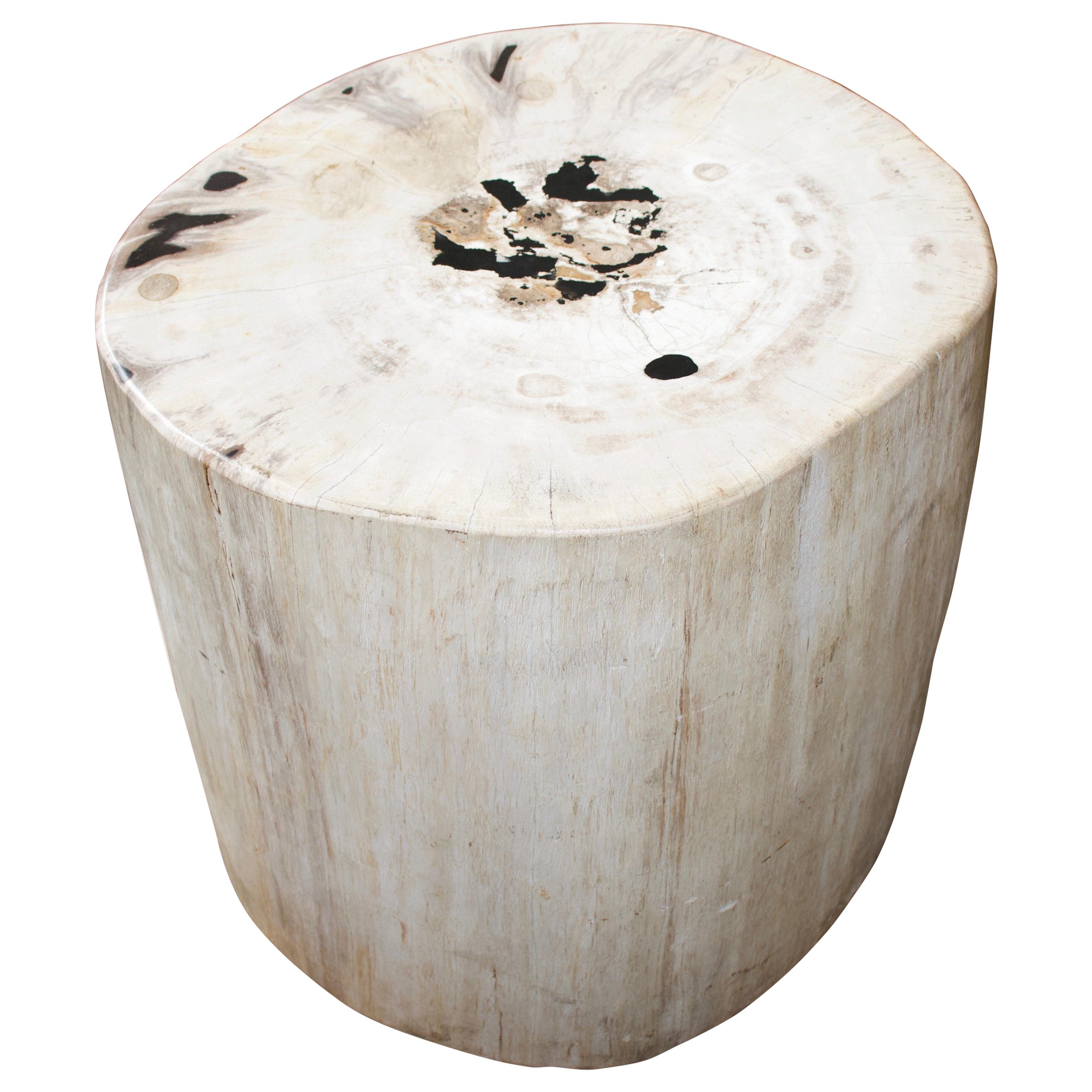 Andrianna Shamaris White with Black Super Smooth Petrified Wood Side Table
