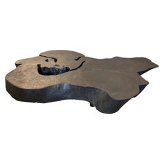 Andrianna Shamaris Extra Large Charred Amorphous Mango Wood Coffee Table