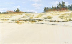 Dune di Carnikava. 2022. Olio su tela. 60x100 cm.
