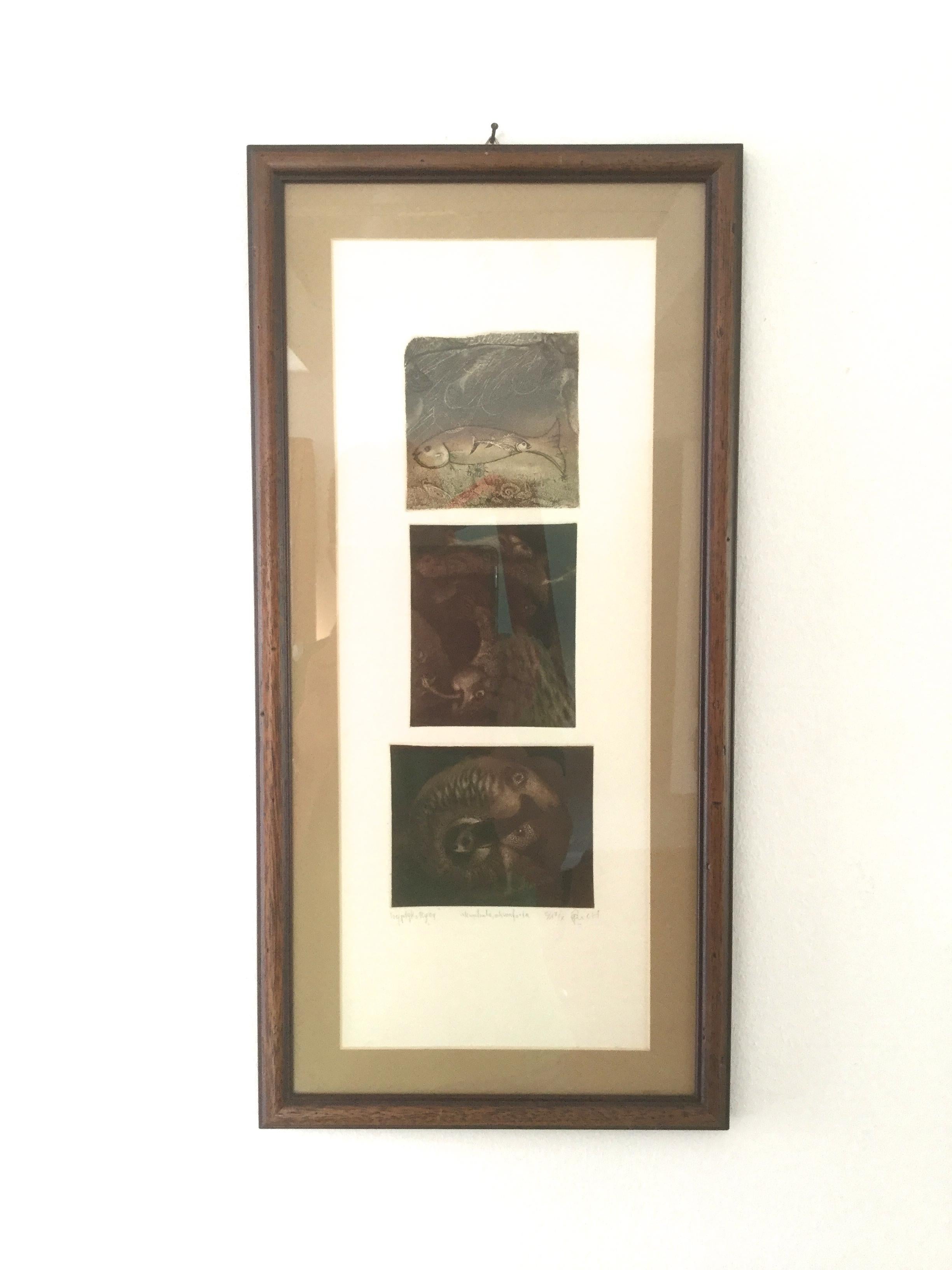 Fish Triptychon - XX Jahrhundert, figurative Radierung Aquatinta Druck, kleine Auflage 7/X – Print von Andrzej Juchniewicz