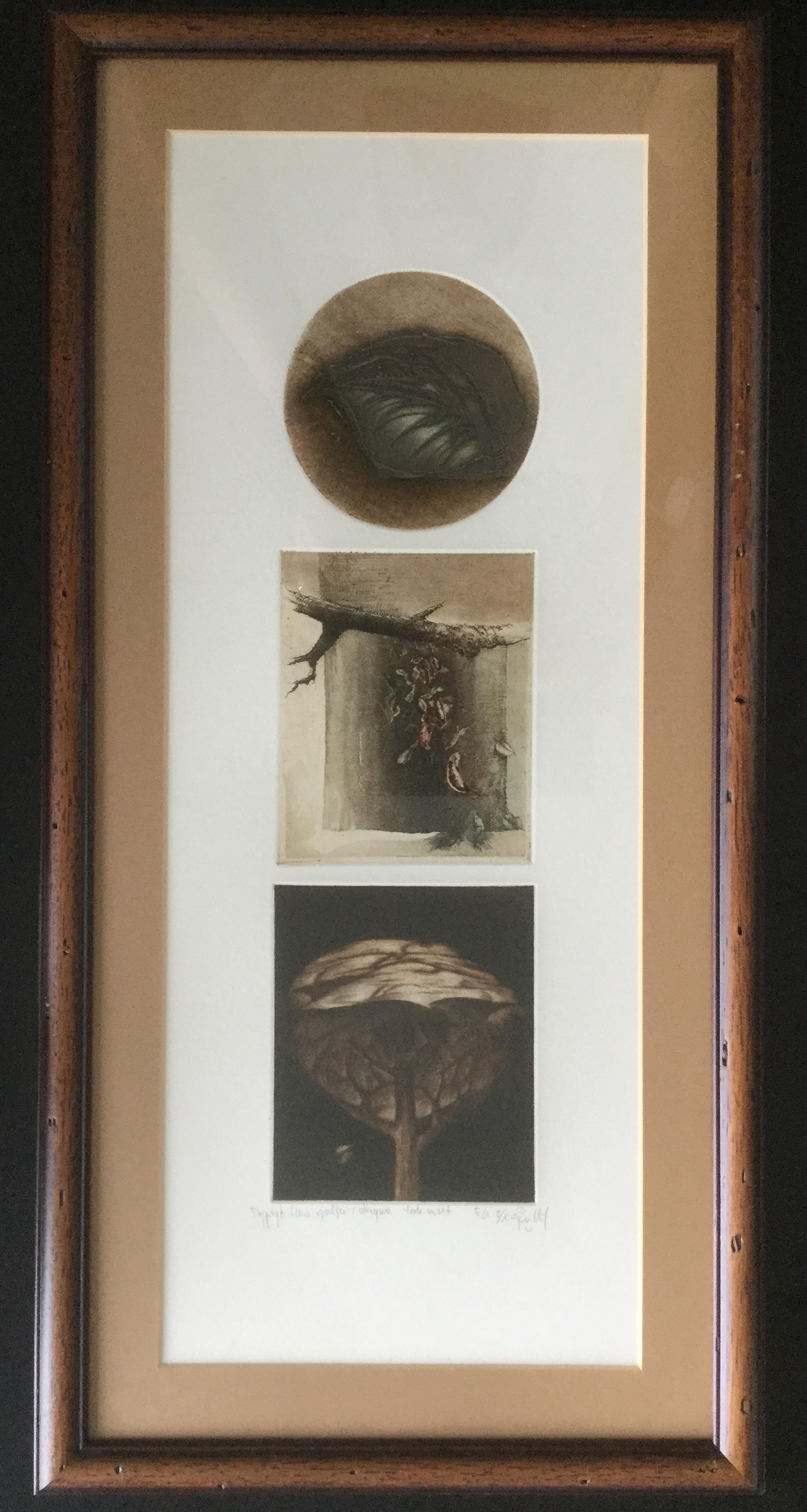 Leaves, Twigs and Trees Triptychon - Figuratives Mixed Med Print, kleine Auflage 2/X (Braun), Landscape Print, von Andrzej Juchniewicz
