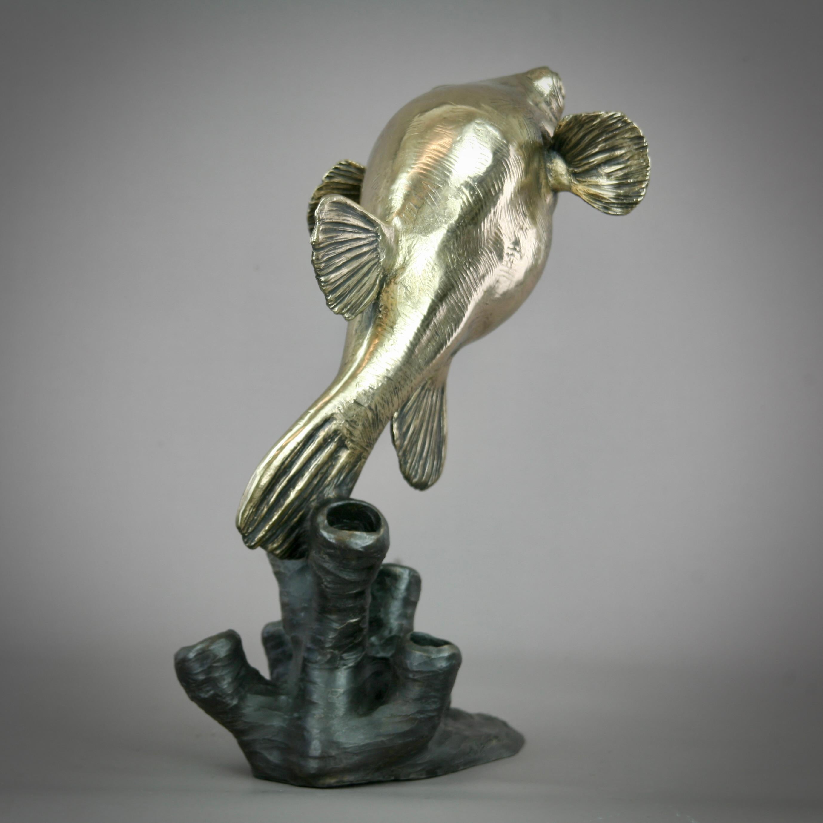 Bontana -original modern bronze wildlife marine sculpture - contemporary Art - Realist Sculpture by Andrzej Szymczyk