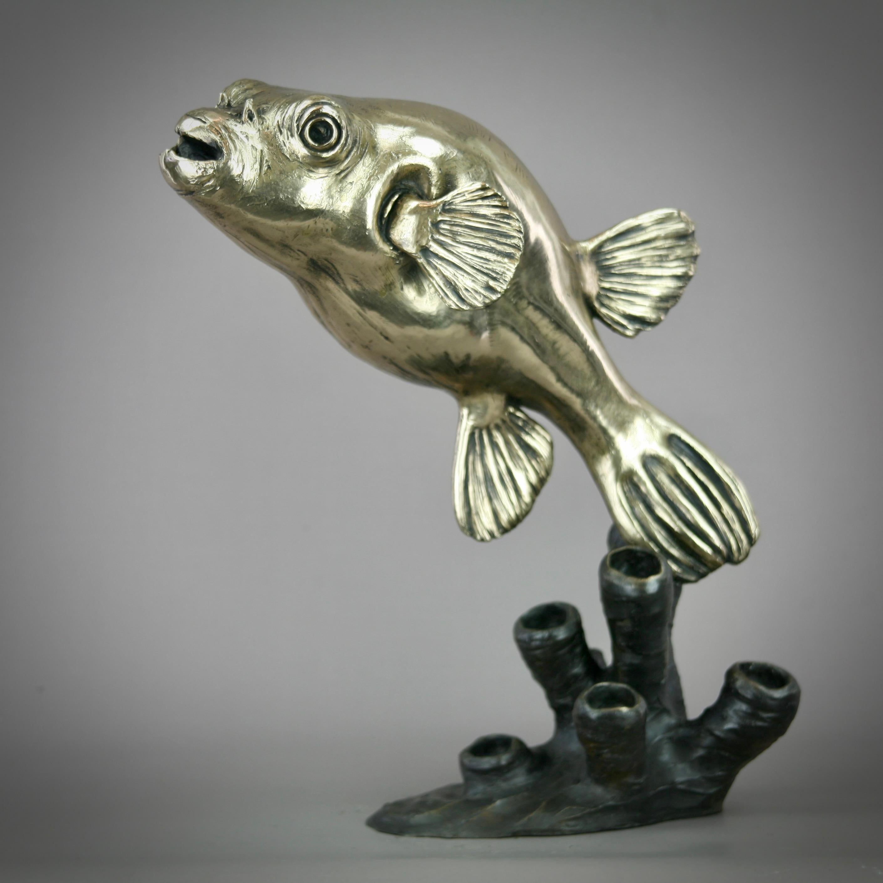 Andrzej Szymczyk Figurative Sculpture - Bontana -original modern bronze wildlife marine sculpture - contemporary Art