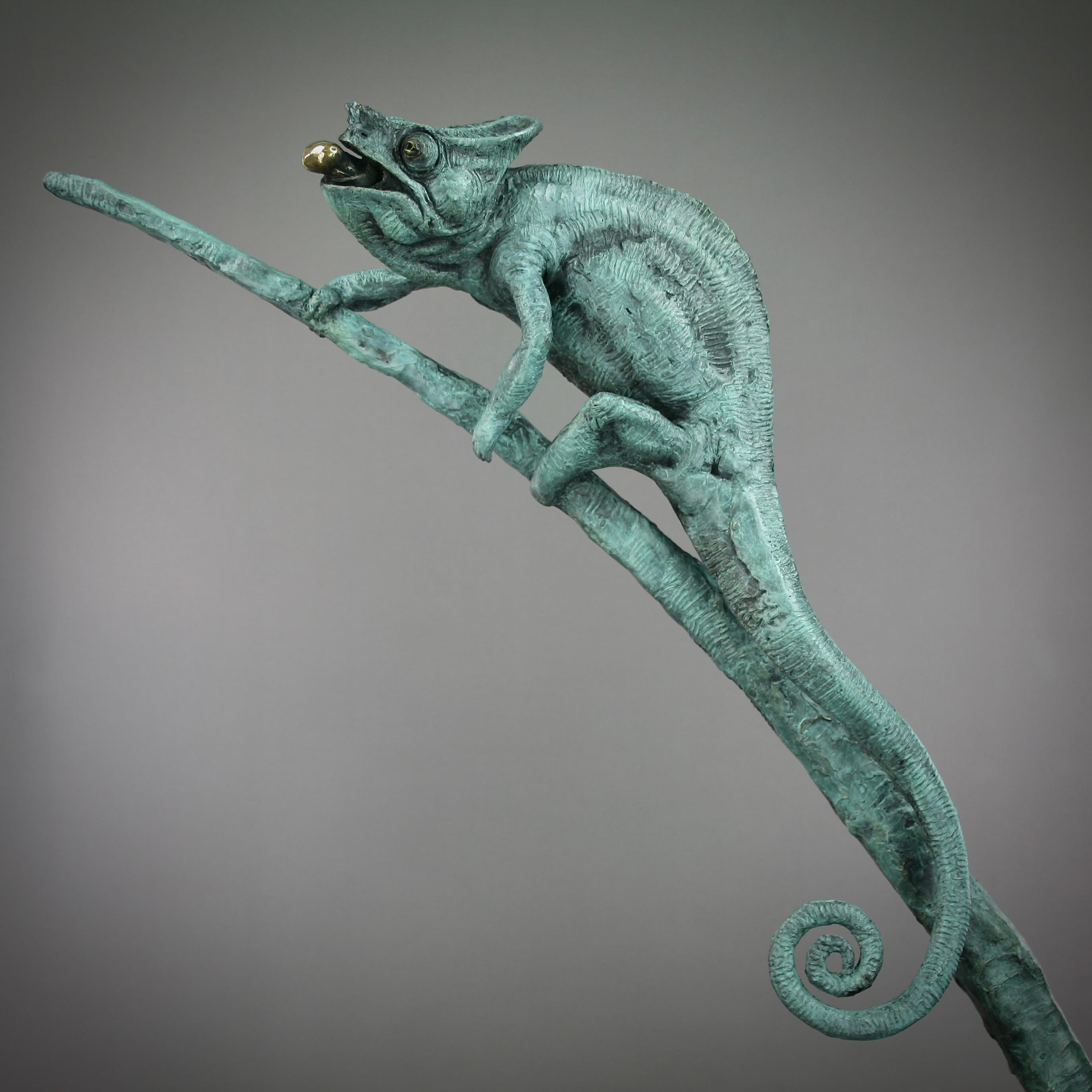 Cameleon -Original moderne Tierplastik aus Bronze - Contemporary Art (Realismus), Sculpture, von Andrzej Szymczyk