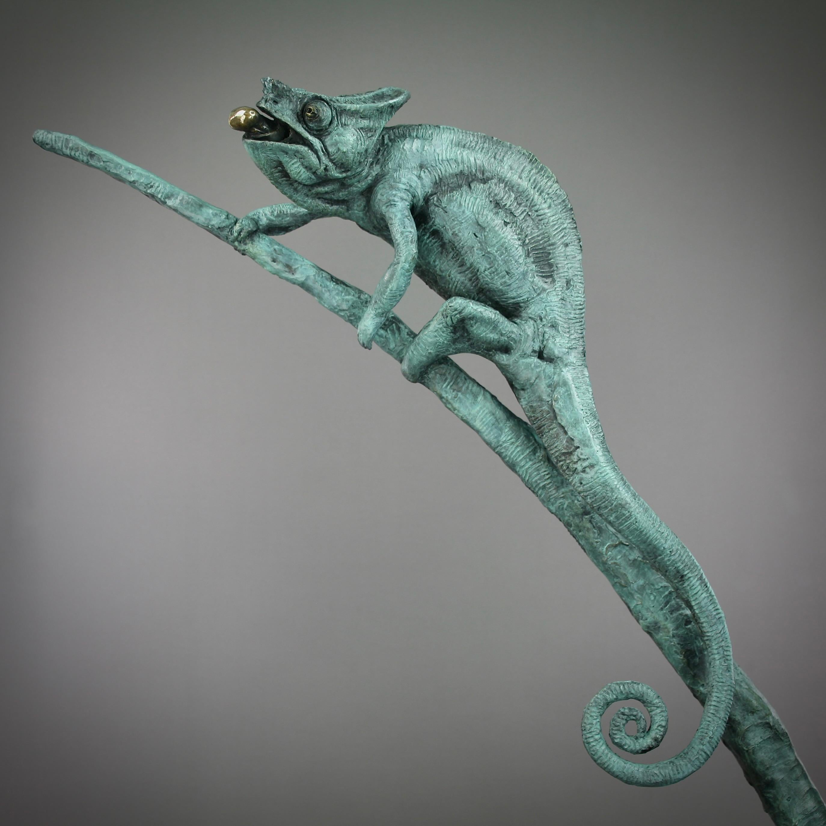 Esta excepcional obra de arte está actualmente expuesta y a la venta en la Galería de Arte Contemporáneo Signet y en Internet.

Bronce , Edición limitada de 12

Adéntrate en el mundo del camuflaje y la adaptación con 