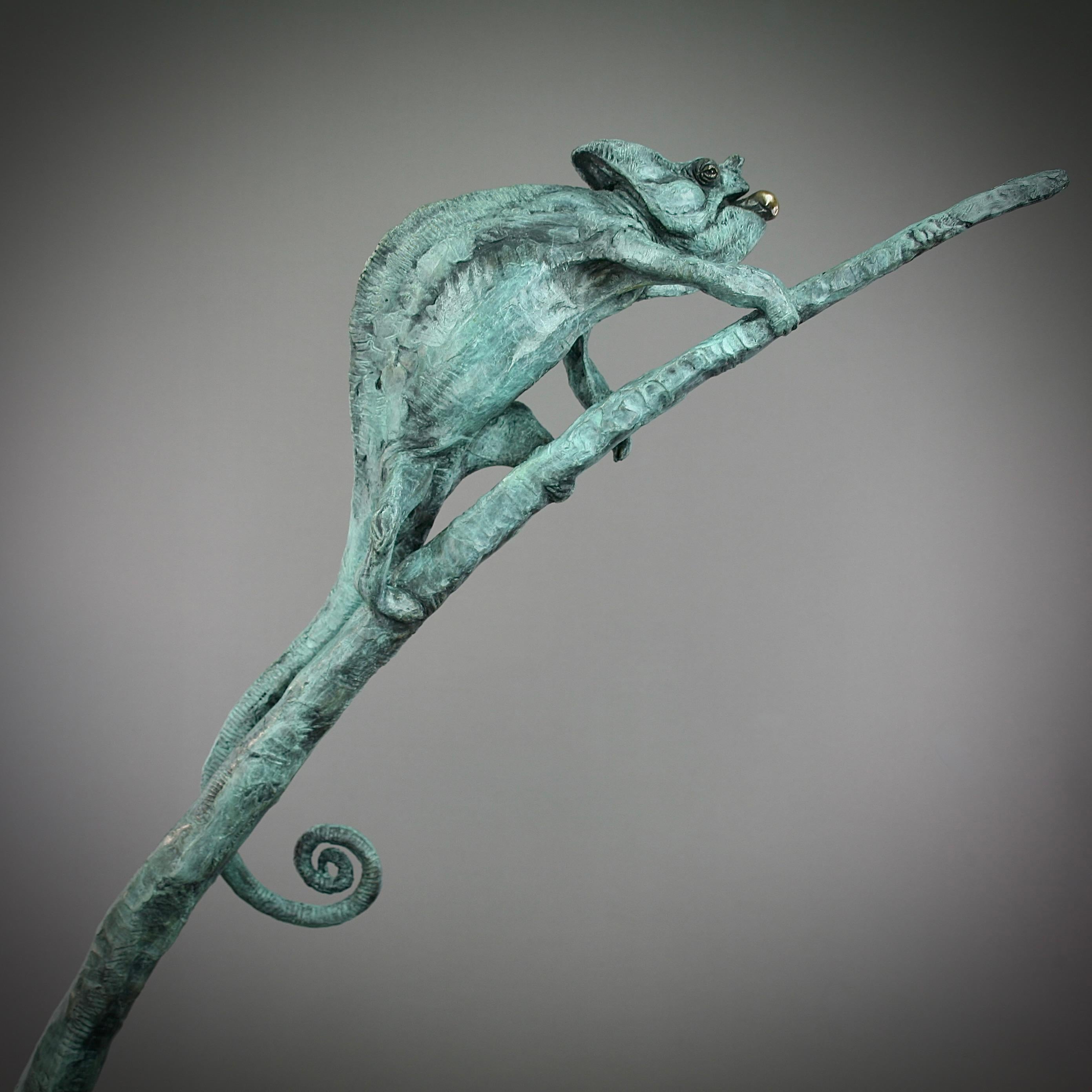 Camaleón -escultura moderna original en bronce de animal salvaje - Arte contemporáneo en venta 1