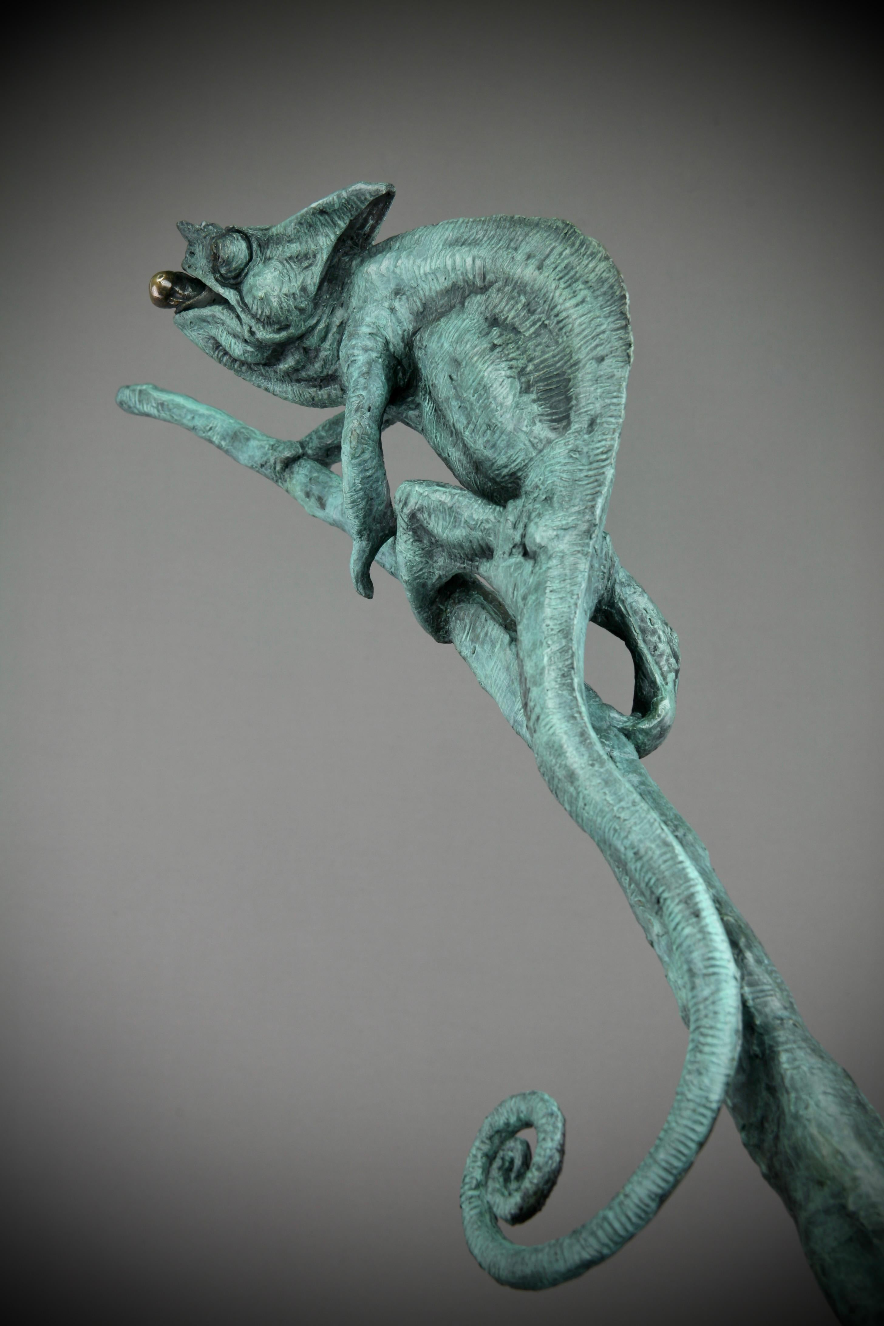 Caméléon - Sculpture en bronze originale et moderne d'animaux sauvages - Contemporary Art en vente 2
