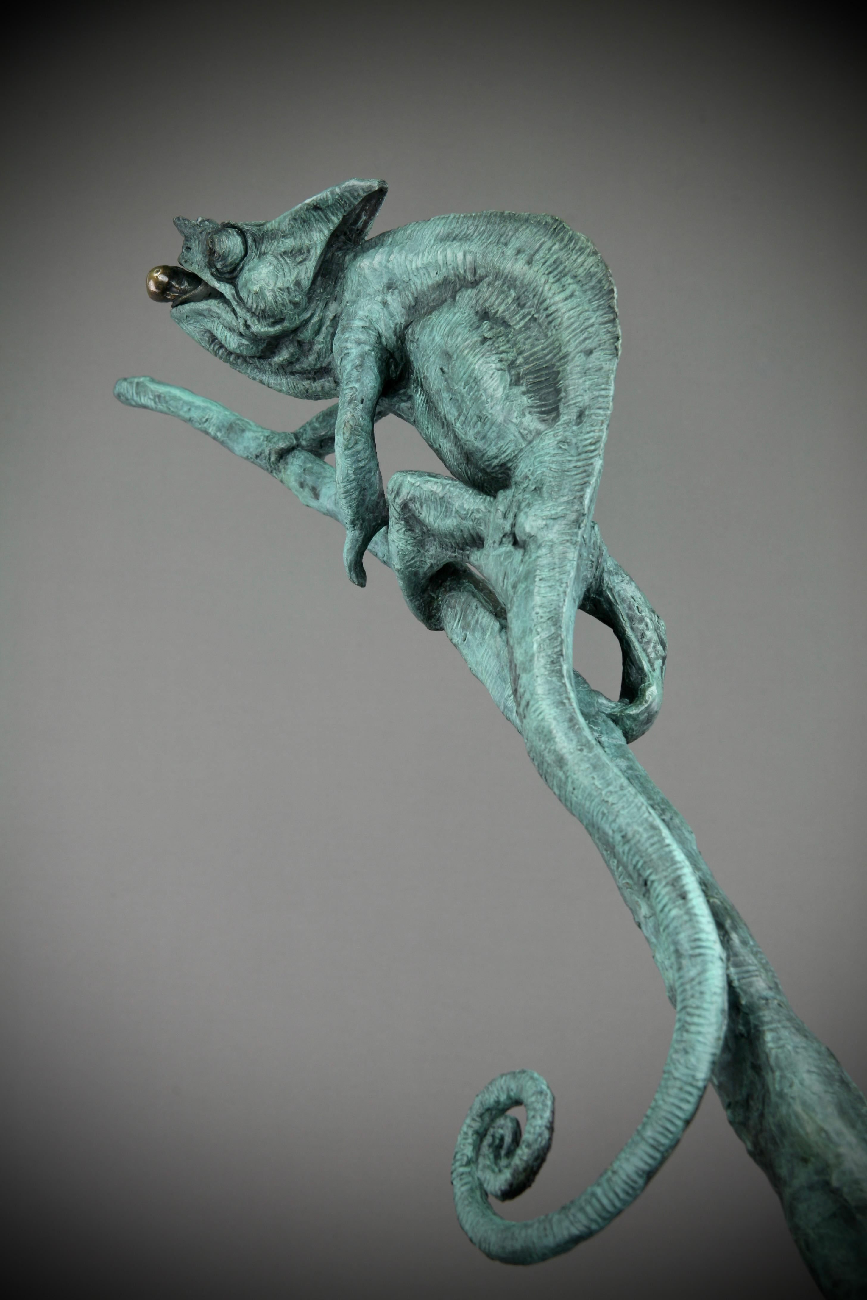 Camaleón -escultura moderna original en bronce de animal salvaje - Arte contemporáneo en venta 2