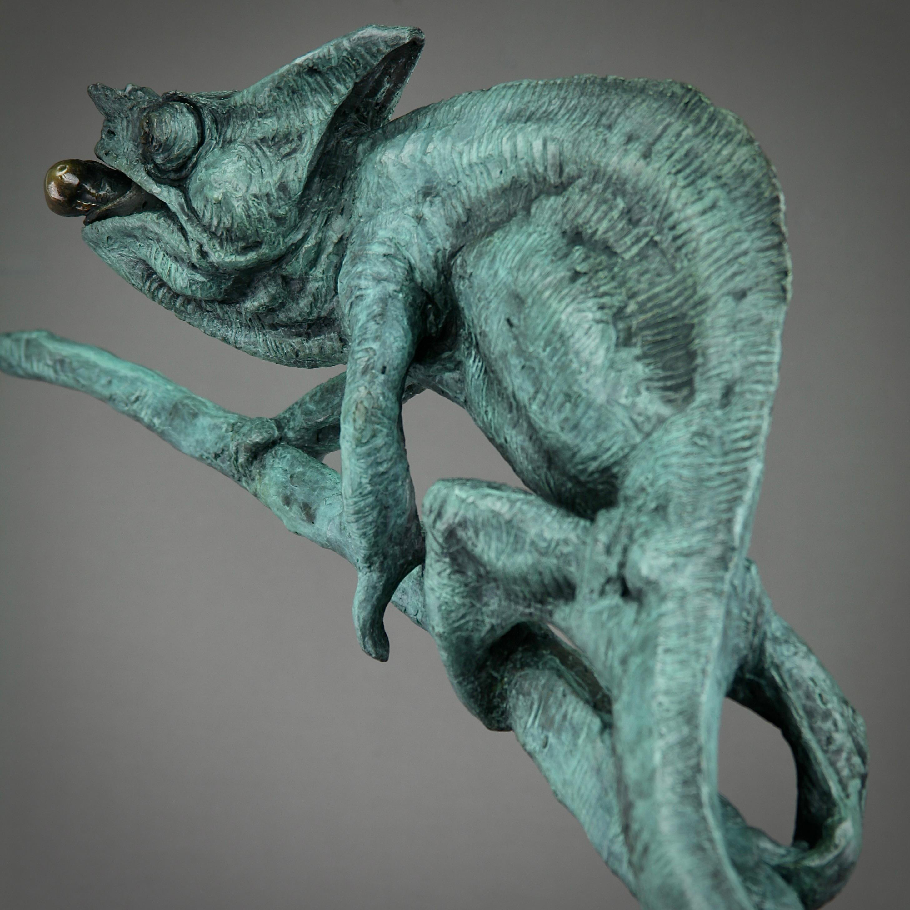 Camaleón -escultura moderna original en bronce de animal salvaje - Arte contemporáneo en venta 3