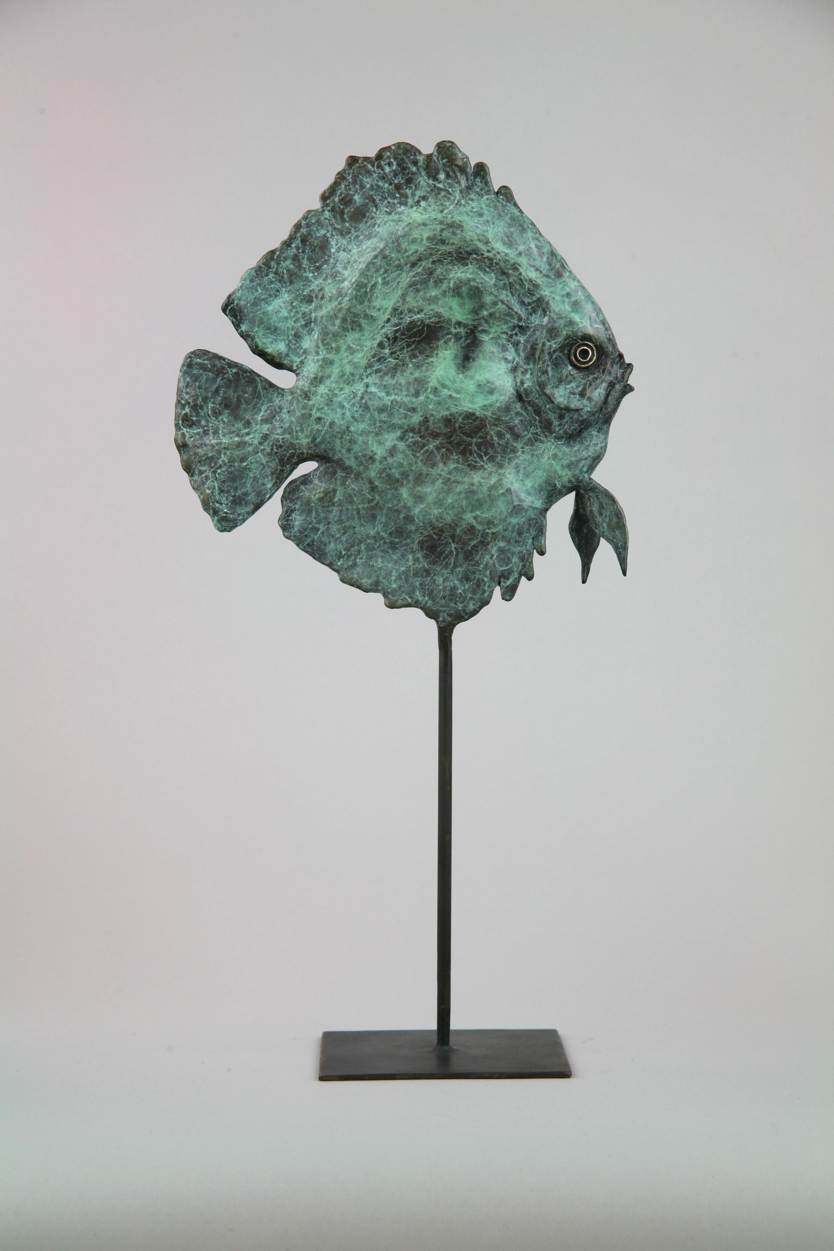 Discus Fish - Wildlife bronze green fish sculpture limited edition modern art - Sculpture de Andrzej Szymczyk