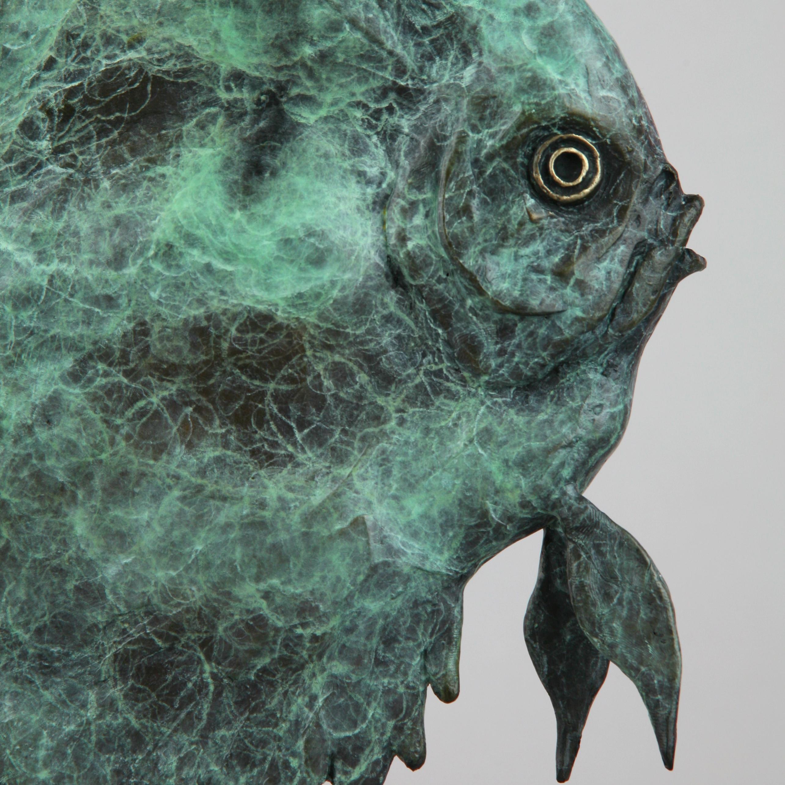 Discus Fish - Wildlife bronze green fish sculpture limited edition modern art - Impressionnisme abstrait Sculpture par Andrzej Szymczyk