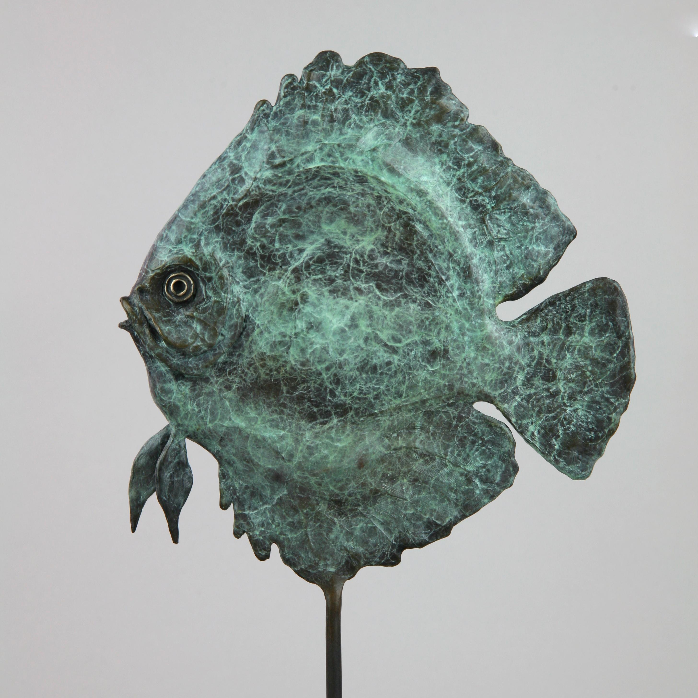 Cette sculpture marine contemporaine d'Andrzej Szymczyk représente un poisson discus et est coulée de manière experte en bronze. La pièce en pose libre est recouverte d'un revêtement vert serein, une teinte qui rappelle son environnement océanique