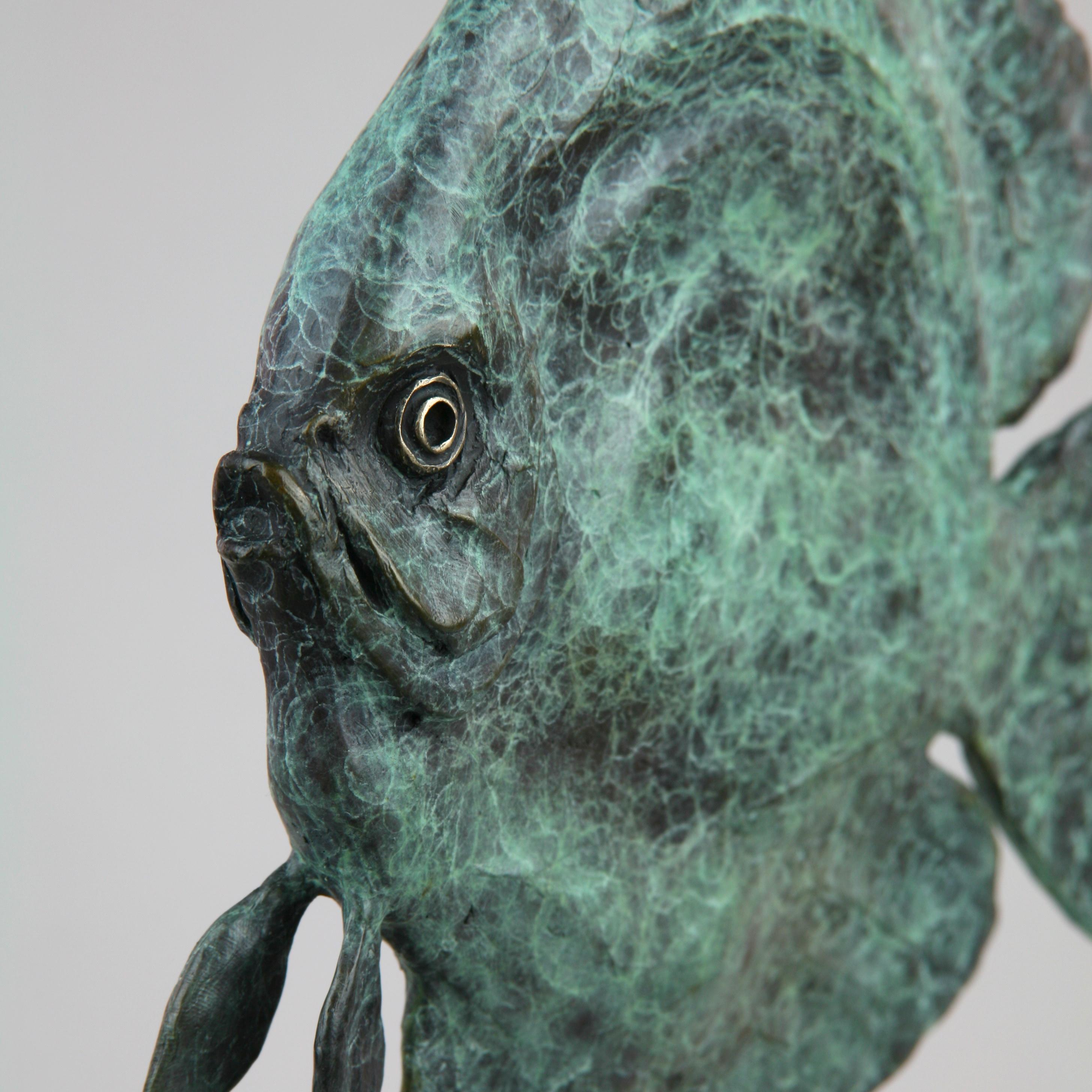 This contemporary marine sculpture by Andrzej Szymczyk depicts a Discus Fish and is expertly cast in bronze. The free standing piece is finished with a serene green coating, a hue reminiscent of its natural ocean environment, and features