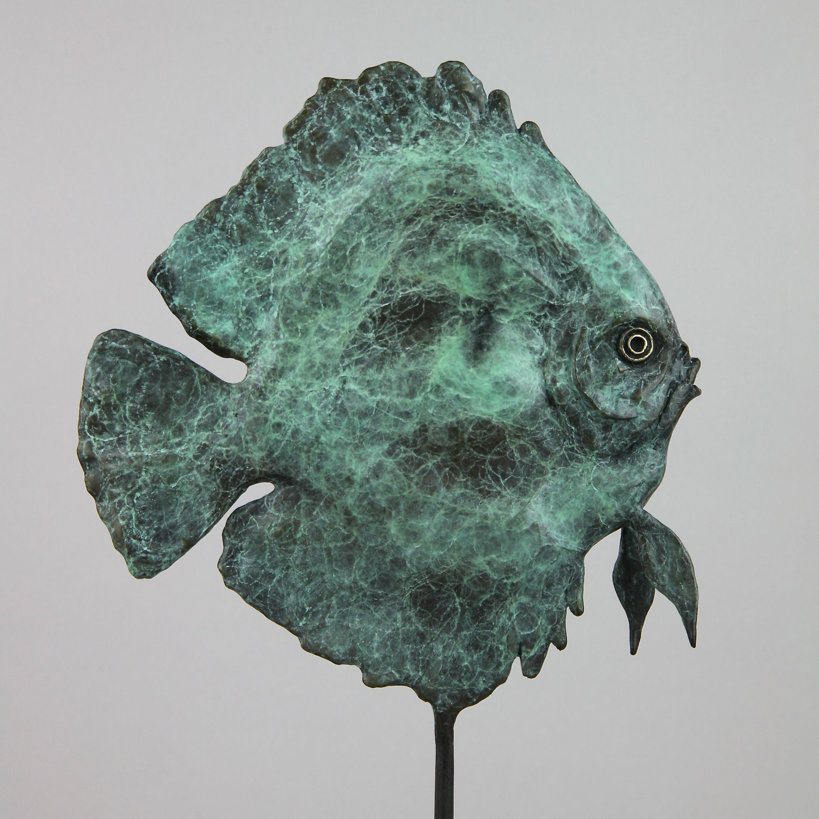 Andrzej Szymczyk Figurative Sculpture - Discus Fish - Wildlife bronze green fish sculpture limited edition modern art