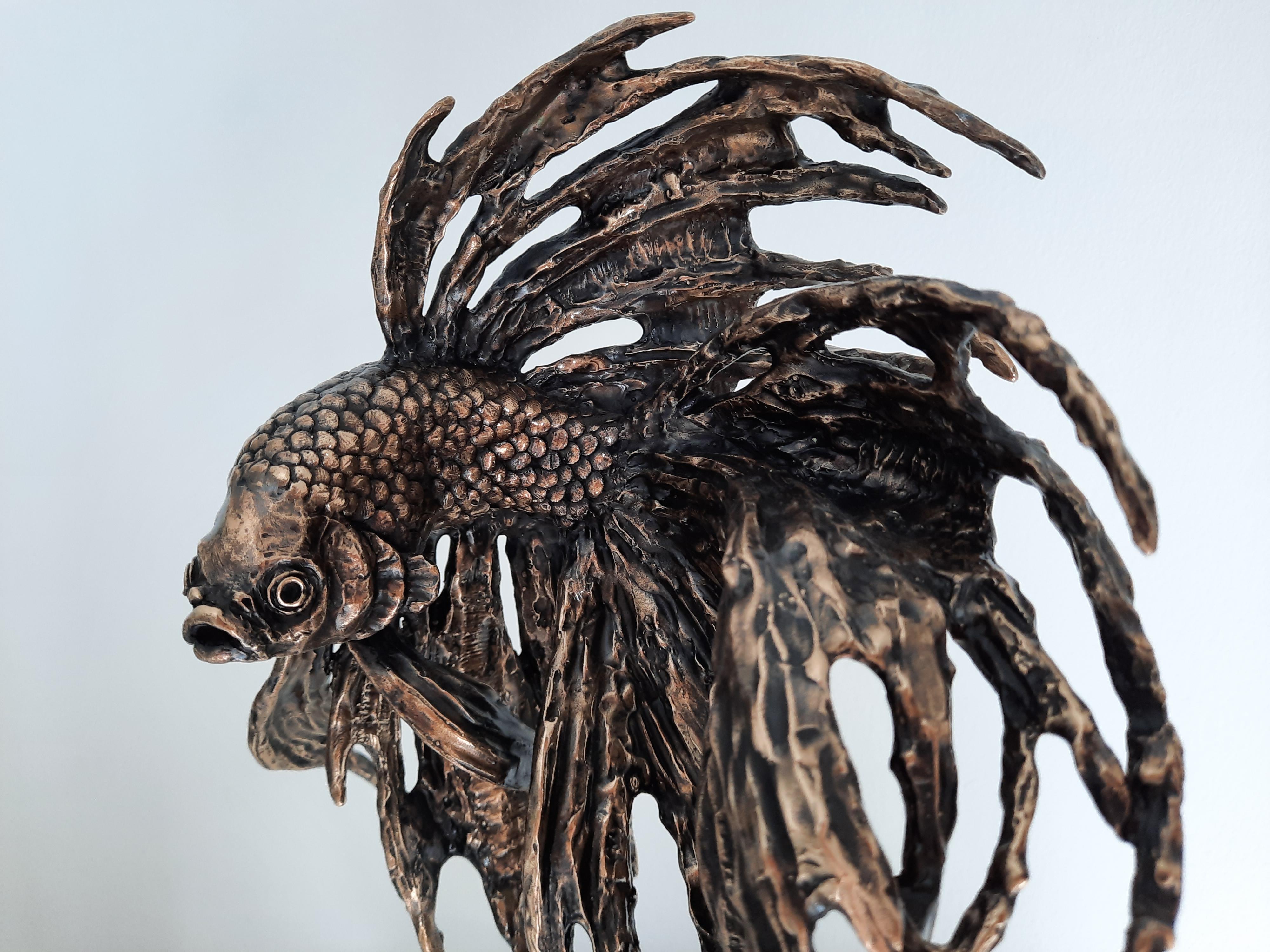 Esta excepcional obra de arte está actualmente expuesta y a la venta en la Galería de Arte Contemporáneo Signet y en Internet.

El 